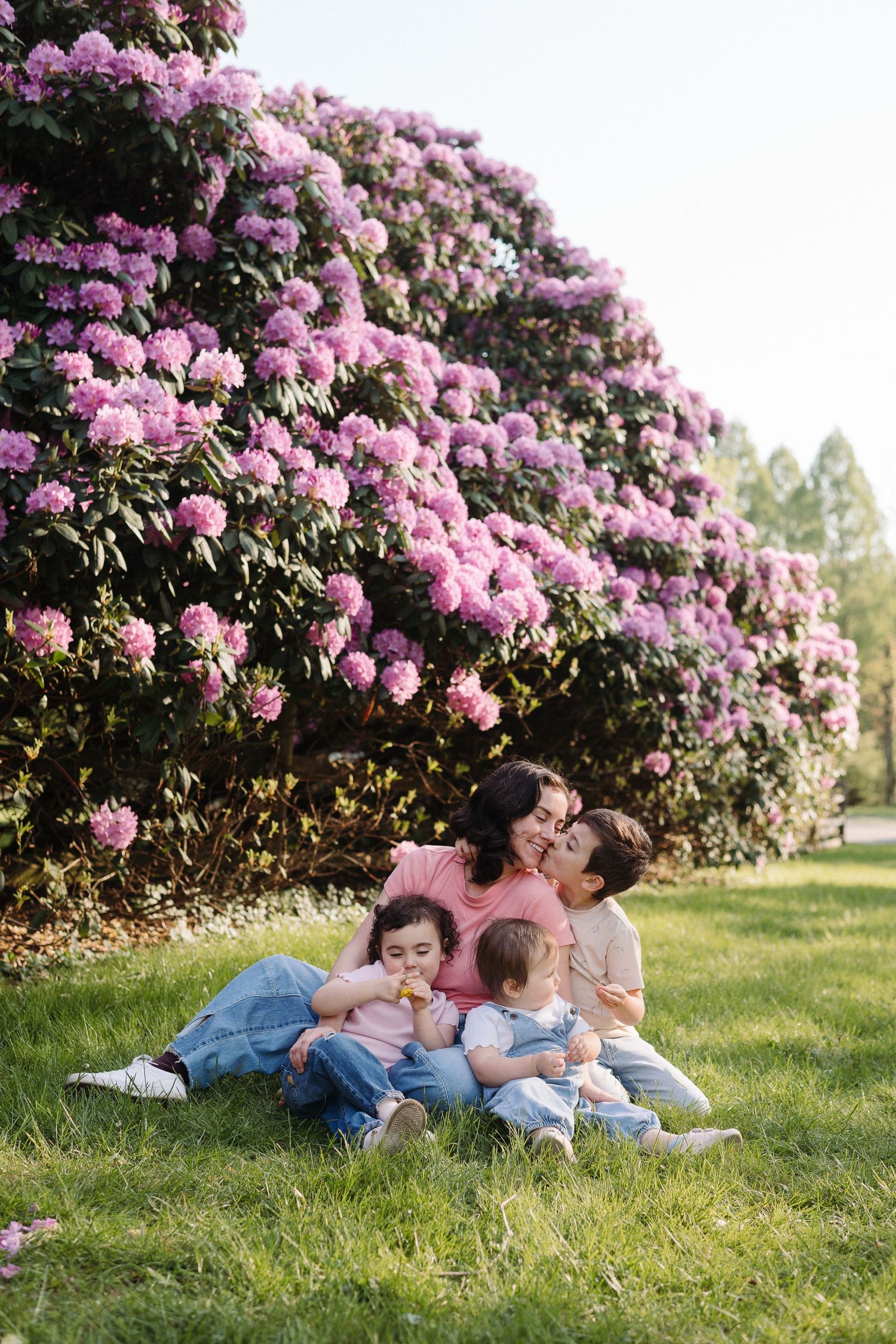 Family sitting on grass in front of large pink rhododendron bush in sunny park.
