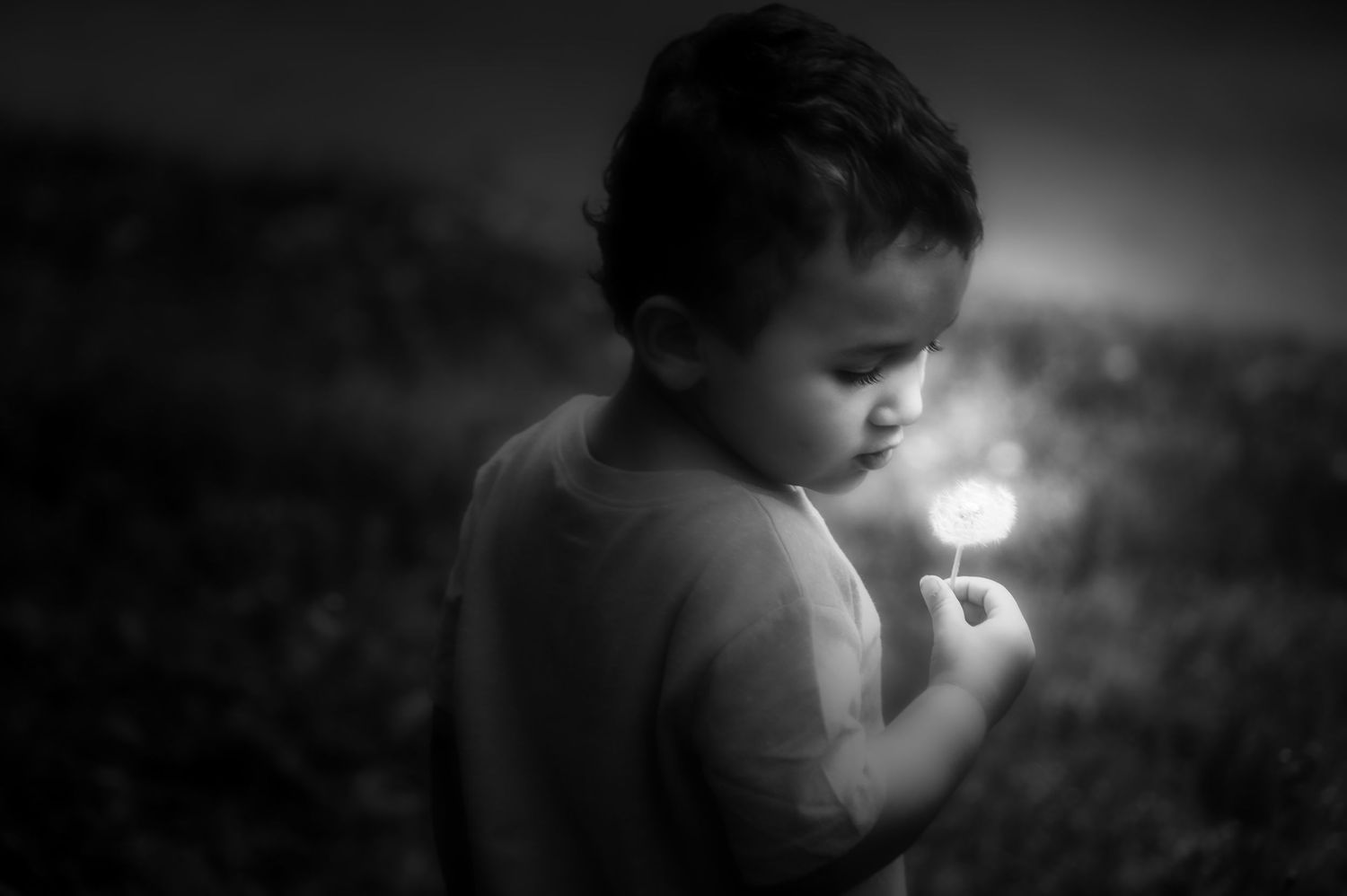 Dreamy black and white portrait of a young child holding a glowing dandelion in soft bokeh lighting.
