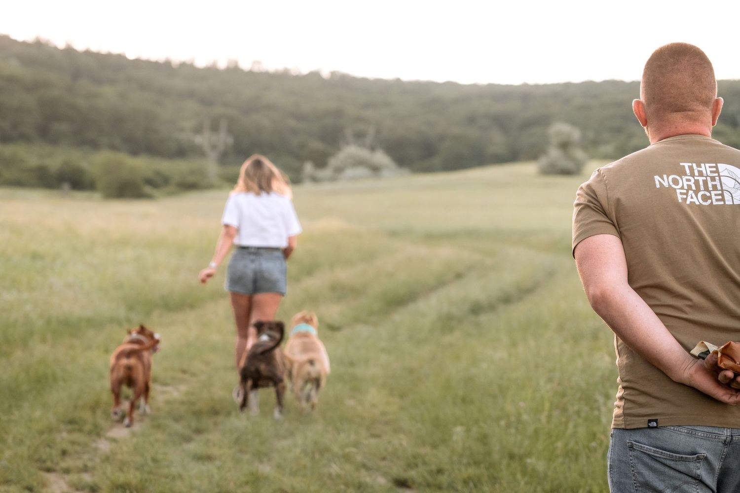 A couple walks two dogs through a lush green field, man wearing The North Face shirt, woman in white top and shorts.