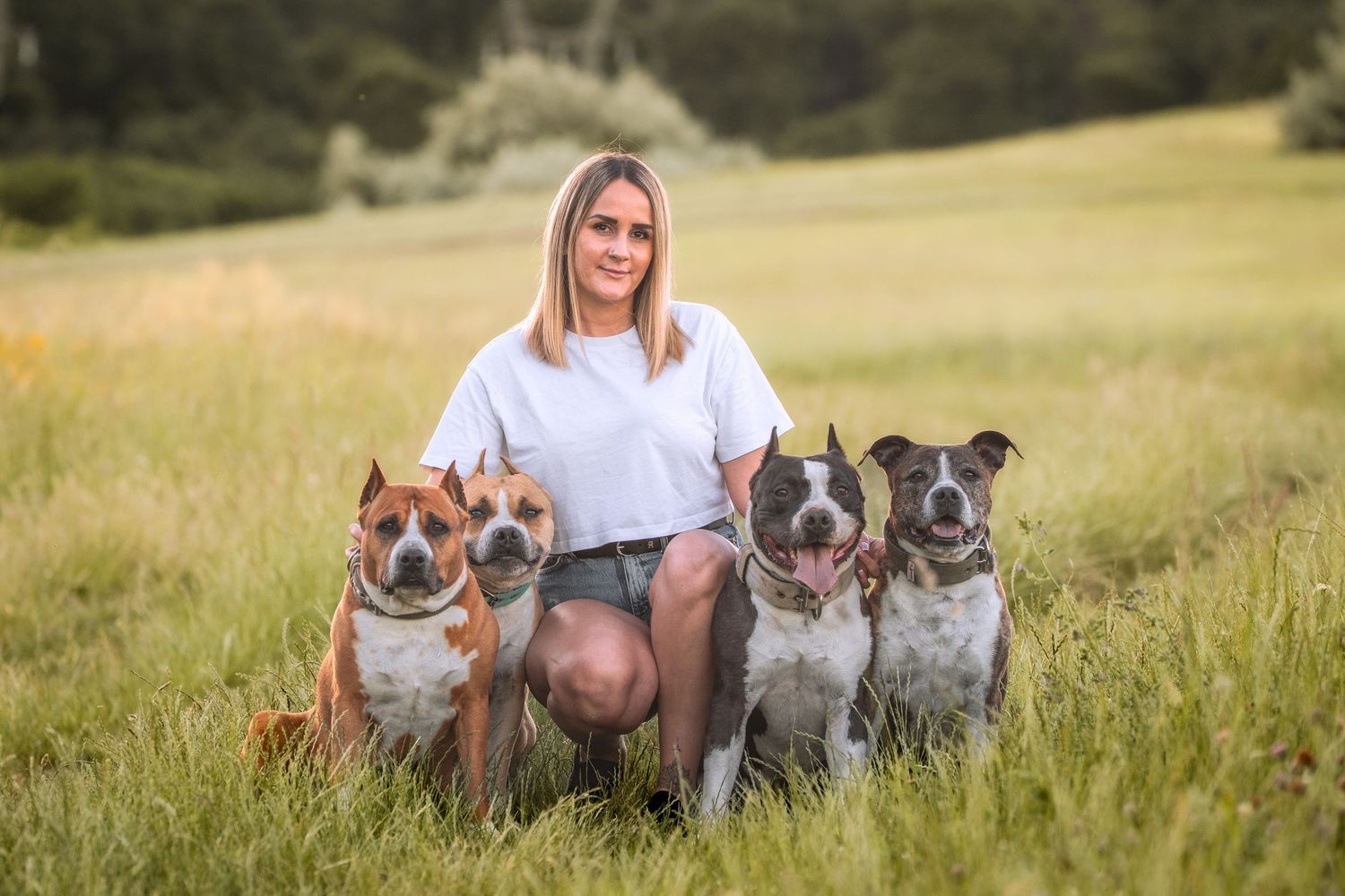 Woman in white tee kneeling in green field with four Staffordshire Bull Terrier dogs posing for portrait photo.