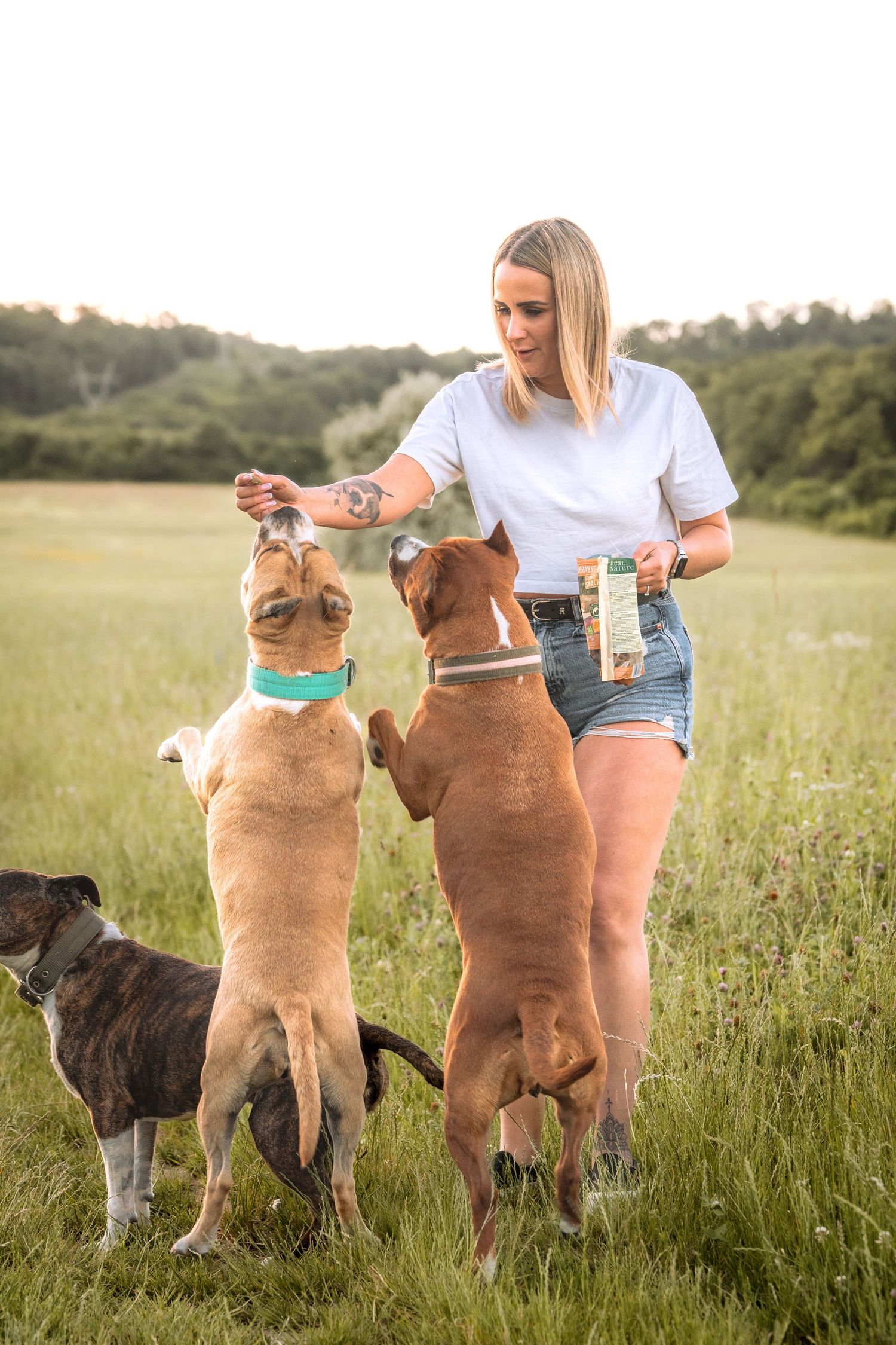 Woman feeding treats to two jumping dogs in a green field, holding a pet treat package outdoors.