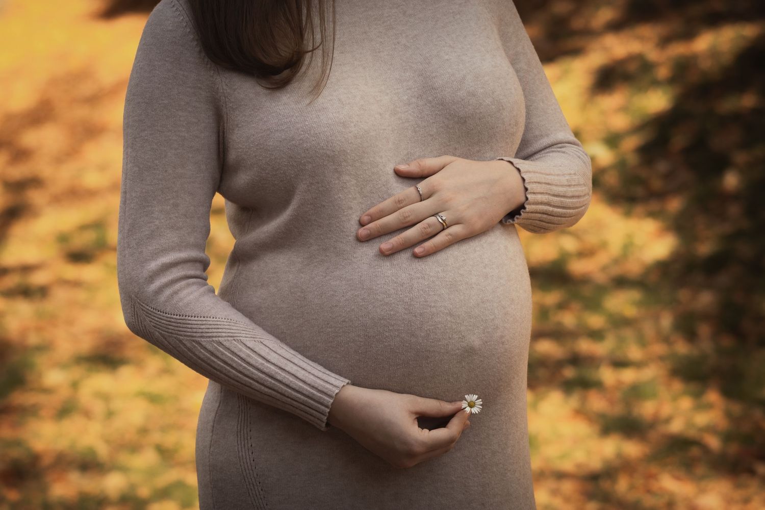 kismama bézs kötött ruhában áll őszi környezetben, pocakját tartva