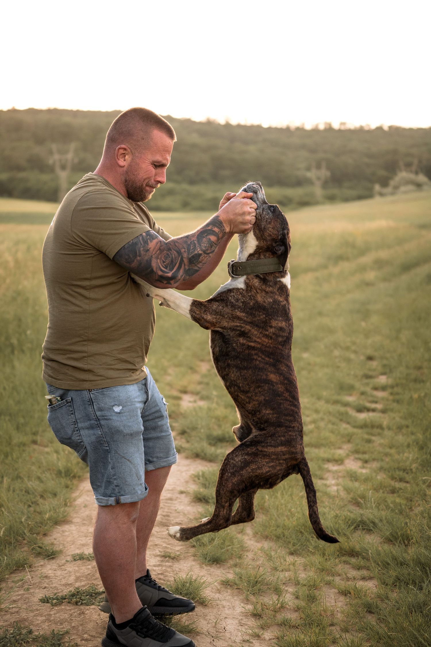Muscular tattooed man playing with a brindle Boxer dog standing on hind legs in a green field at sunset.