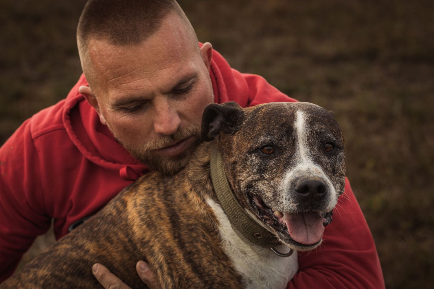 férfi piros pulcsiban szeretettel öleli pitbull kutyáját a szabadban