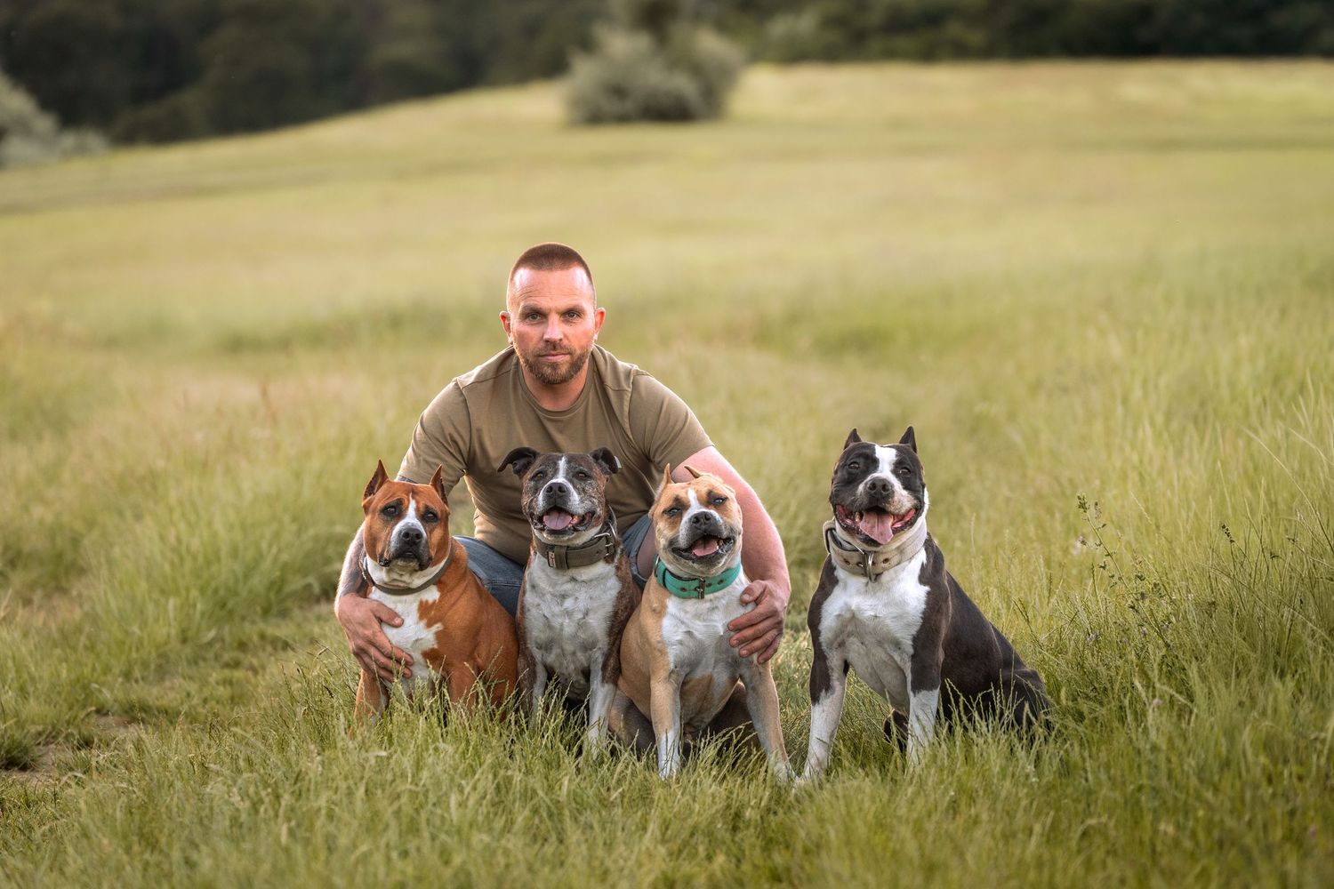 Man posing with three dogs in a green field, smiling with his pit bull and boxer mix pets outdoors.