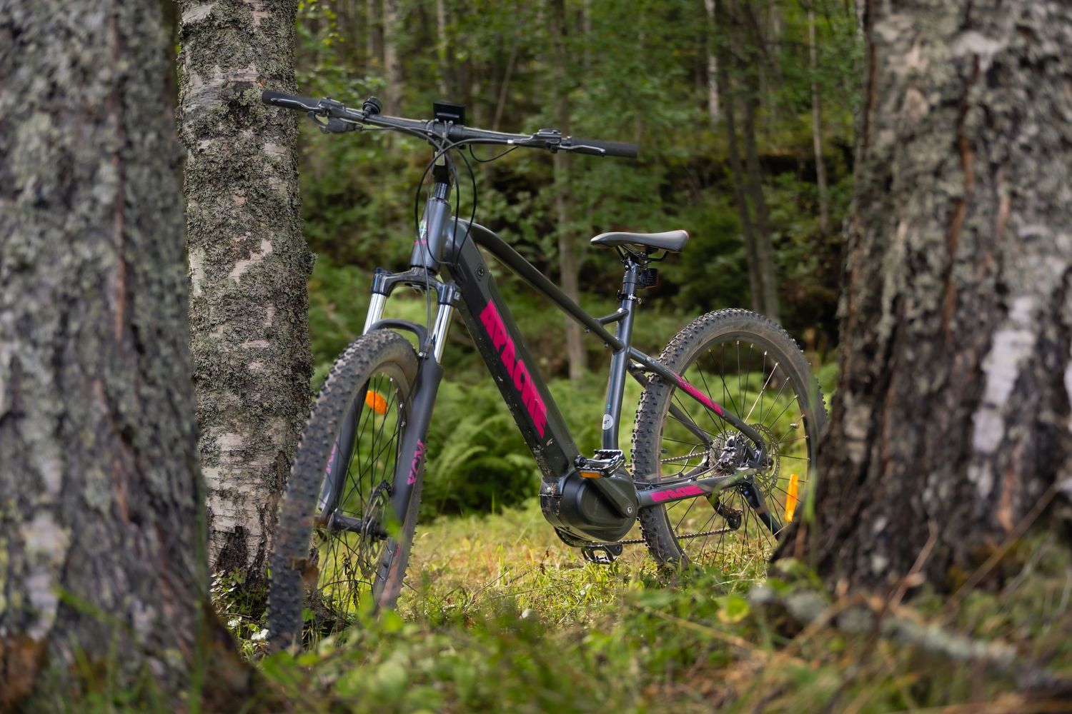 Mustan pinkki maastopyörä nojaa puita vasten rehevän vihreässä metsäympäristössä.