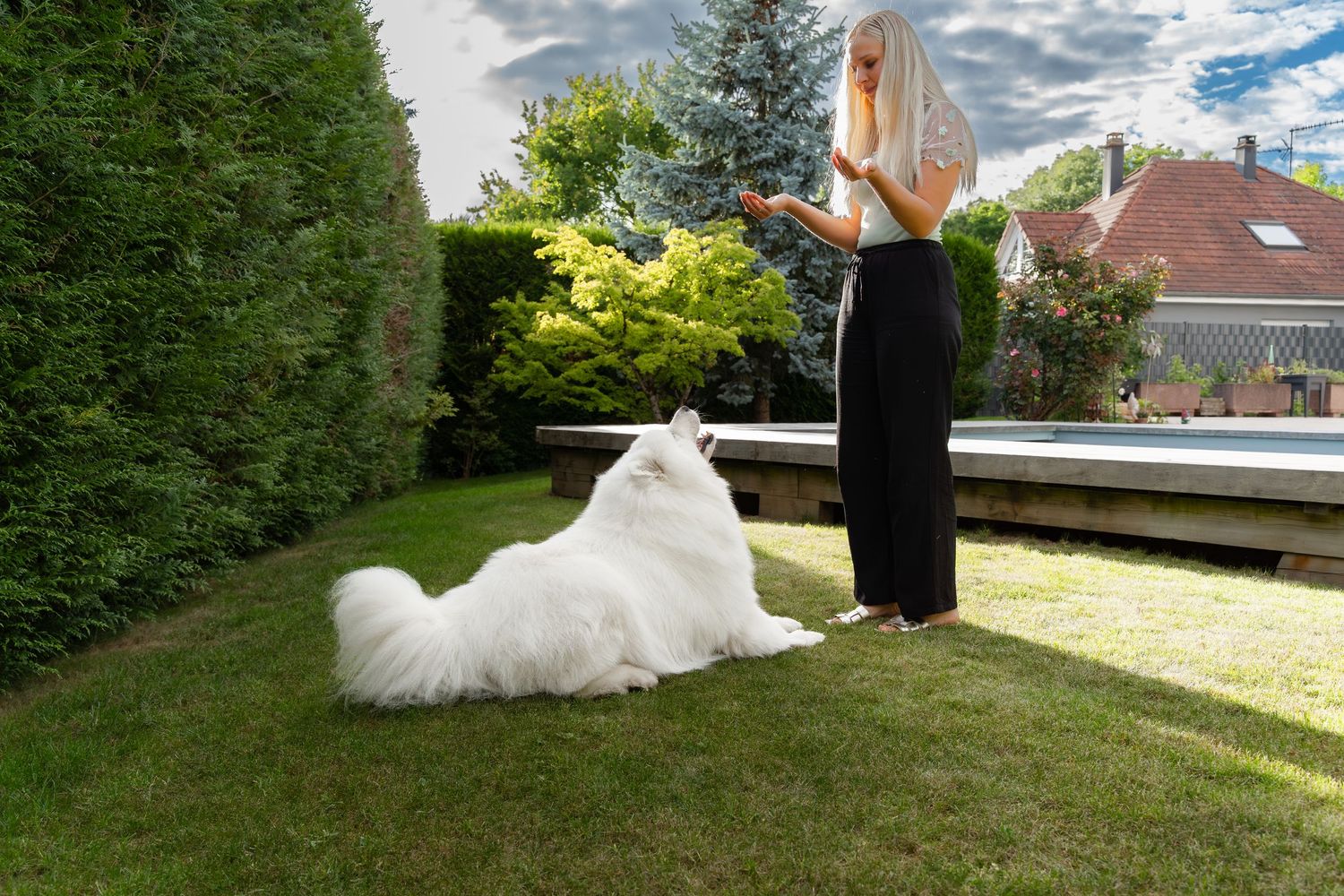 Shooting en journée capturé par Horizon Studio à Kriegsheim en Alsace