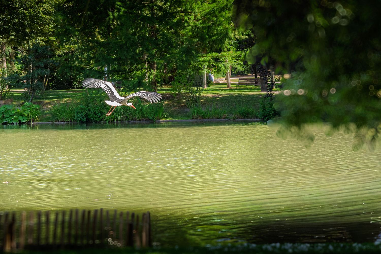 Photo de paysage pris par Horizon Studio - Photographie à  Strasbourg en Alsace.