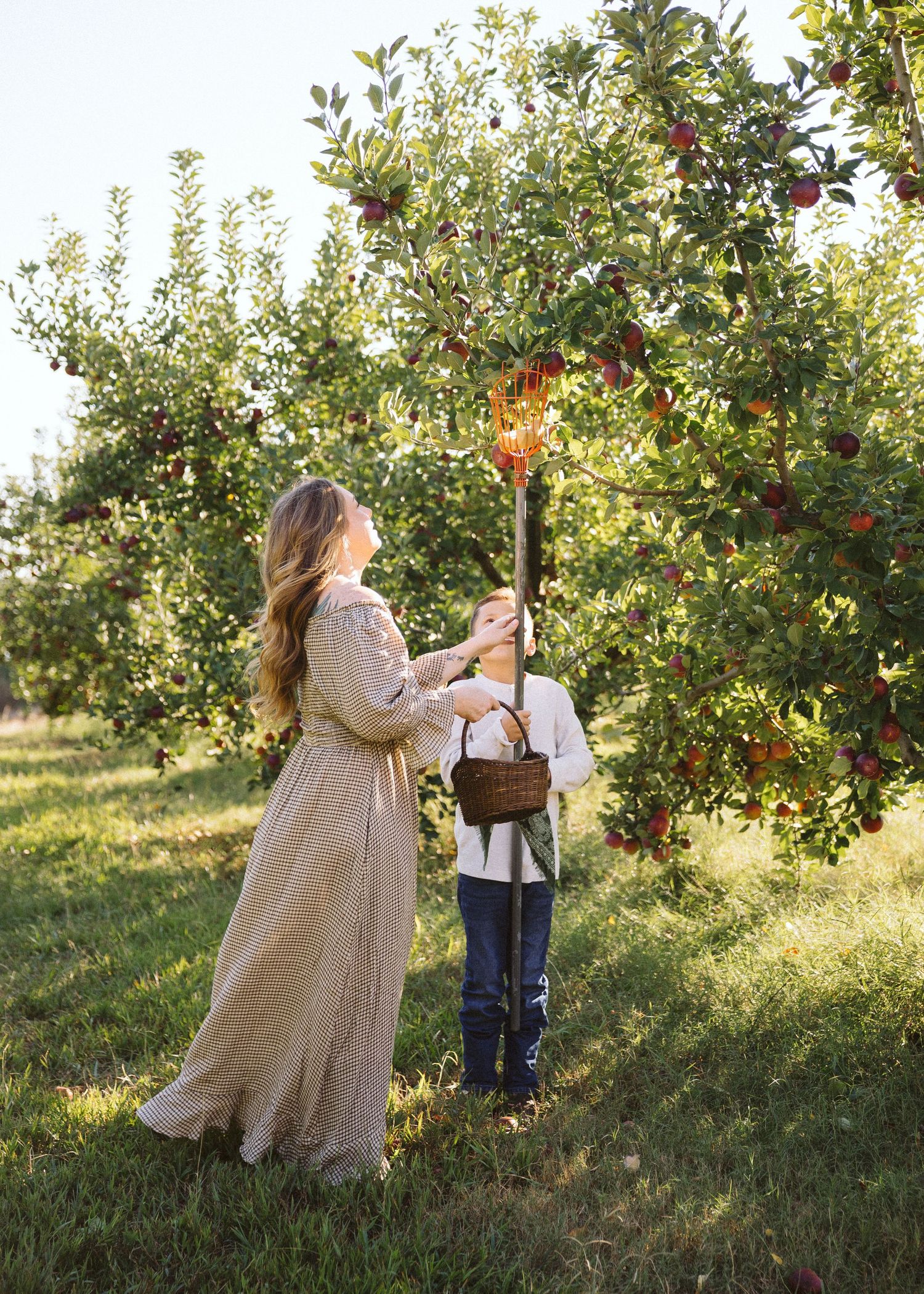 A woman in a long linen dress and a child holding a wicker basket pick red apples from a tree in a sunlit orchard.