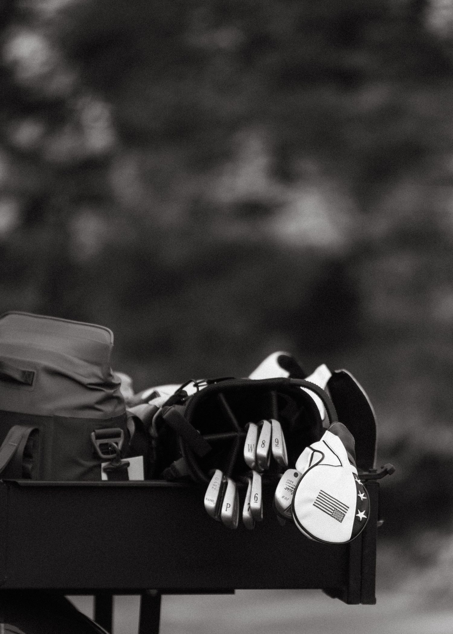 Black and white close-up of golf club irons and bag on cart rack.