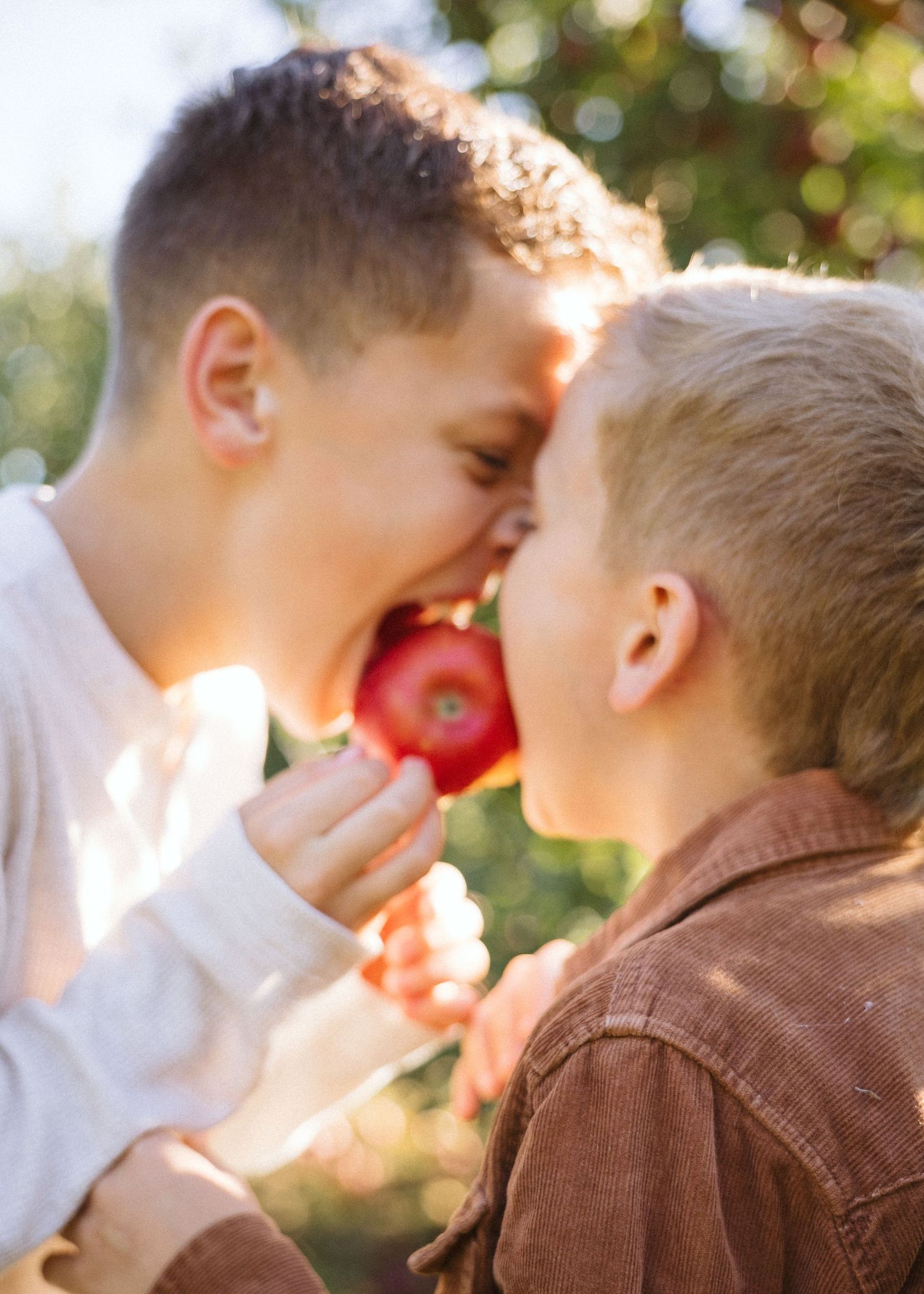 Two young boys bite into the same red apple together, with their faces pressed close in a sunny orchard.