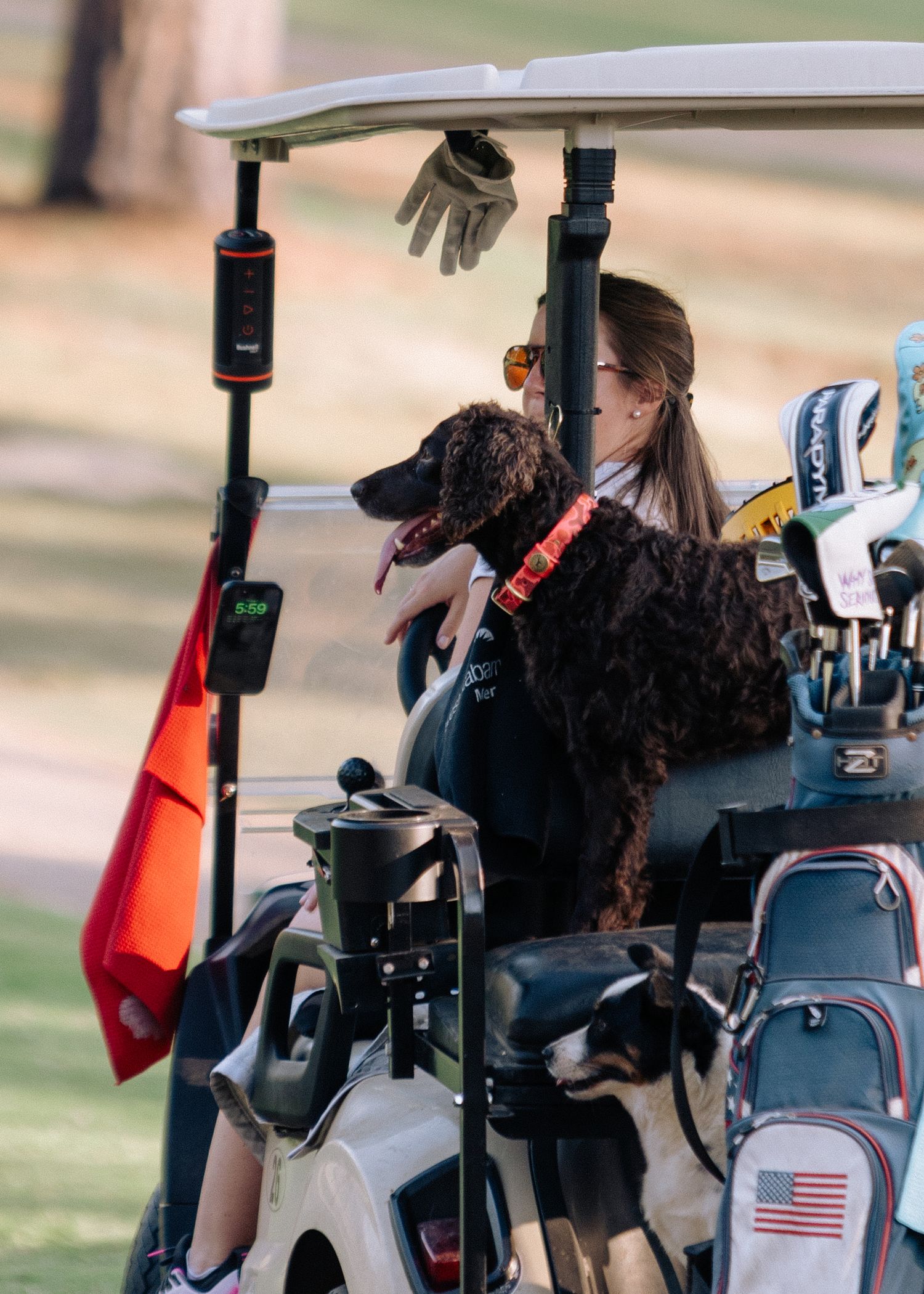 Woman with curly black dog rides golf cart with clubs on sunny golf course.