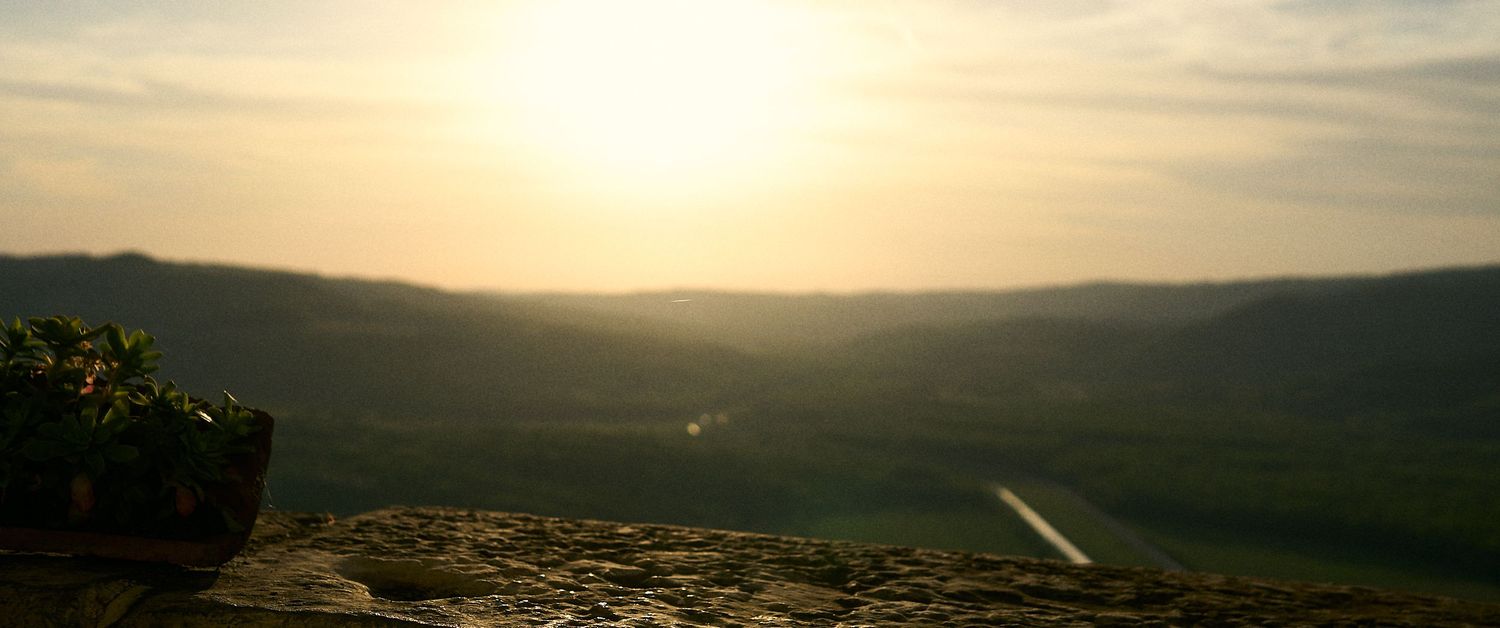 Golden sunset over a vast valley viewed from a rocky overlook with lush greenery in the foreground.
