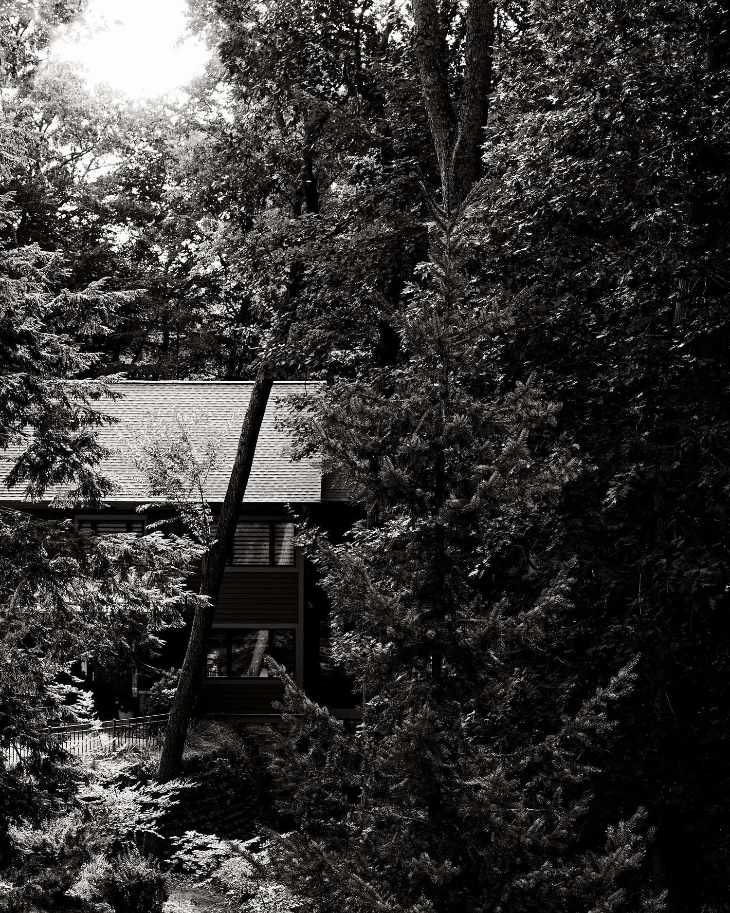 Black and white photo of a secluded A-frame cabin nestled among dense forest trees.