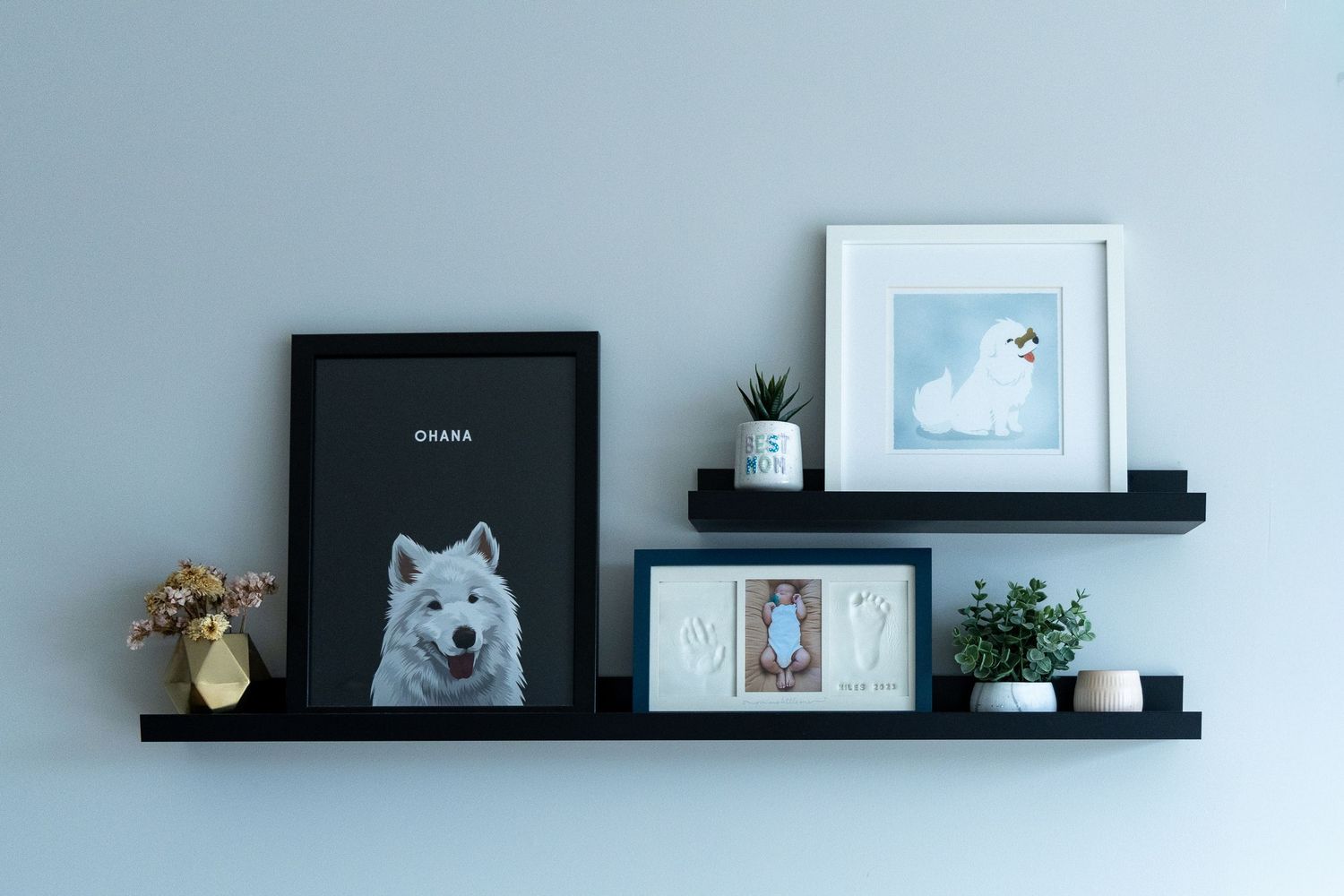 Black-framed wall shelves displaying pet portrait artwork, small plants, and decorative items against a light blue wall.