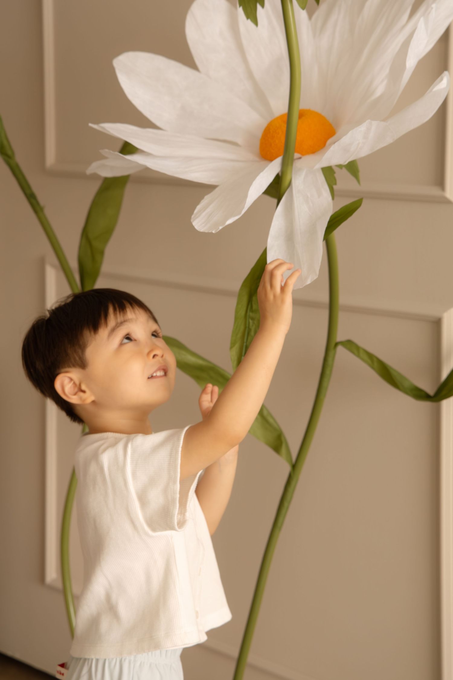Young Asian child in white outfit reaching up to touch a large decorative paper daisy flower indoors.