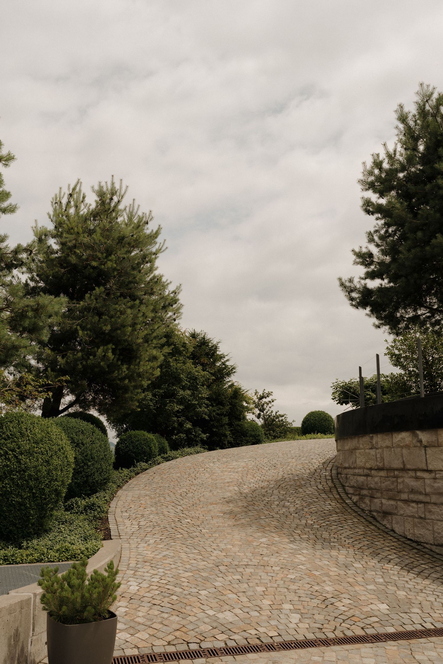 Curved cobblestone pathway lined with manicured hedges and tall evergreen trees under cloudy sky.