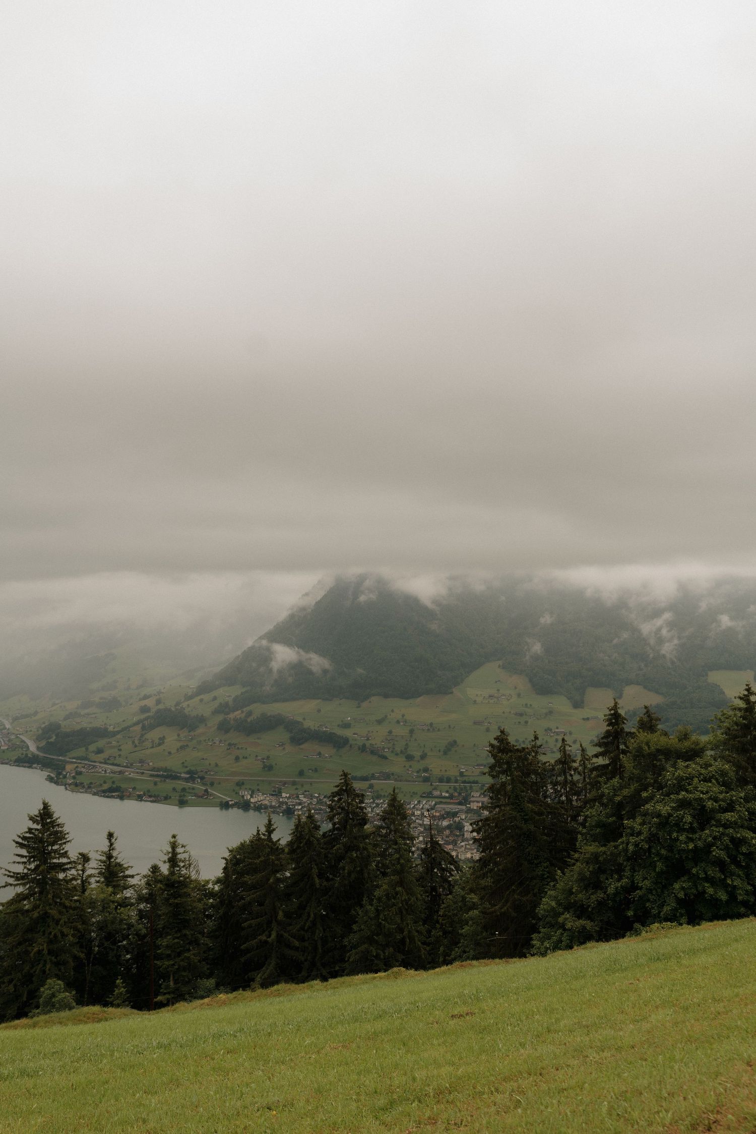 Misty alpine landscape with evergreen forest, lake, and mountain village under overcast sky.