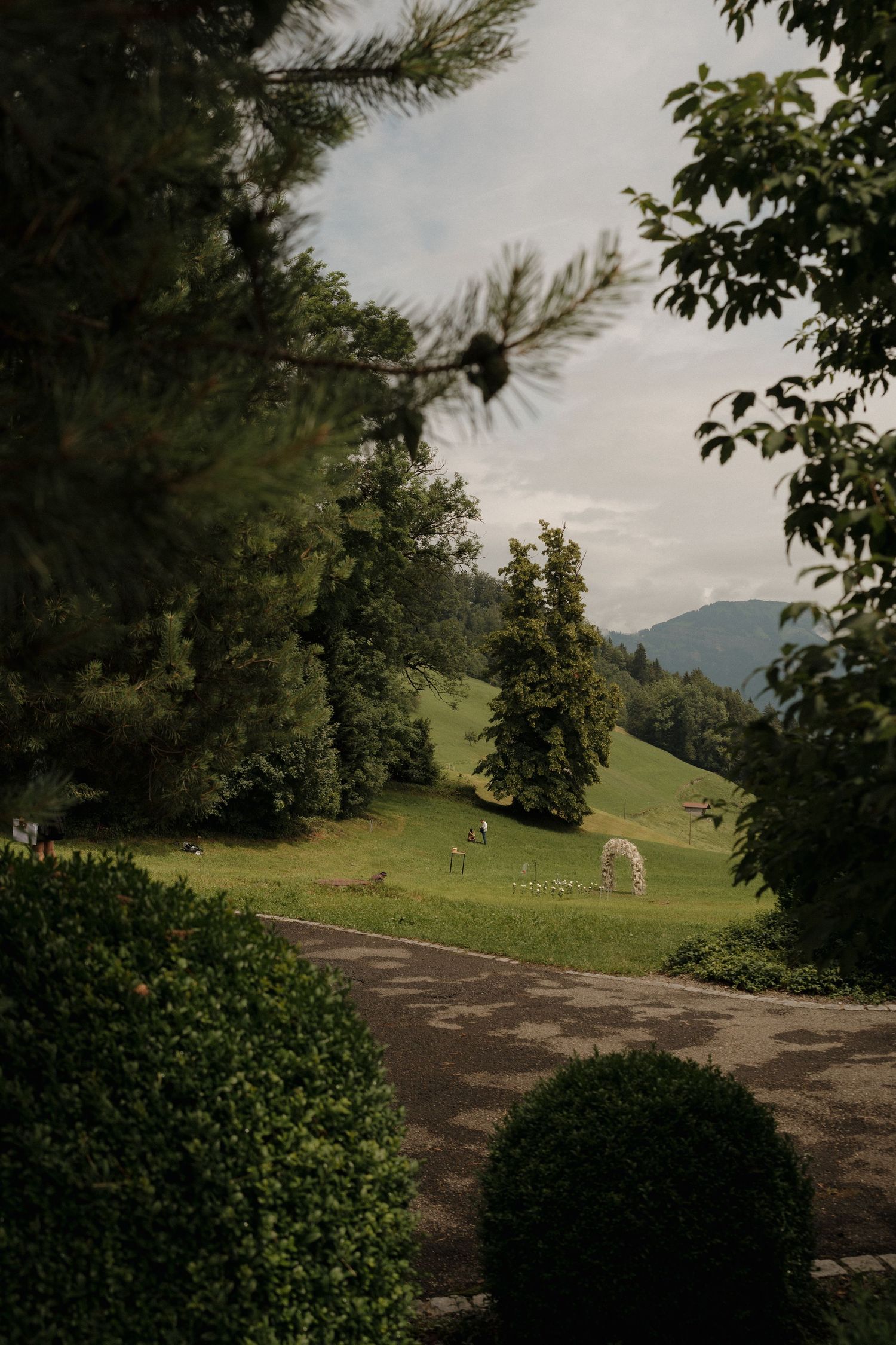 Lush garden path framed by pine and leafy trees with green Alpine hills in background.