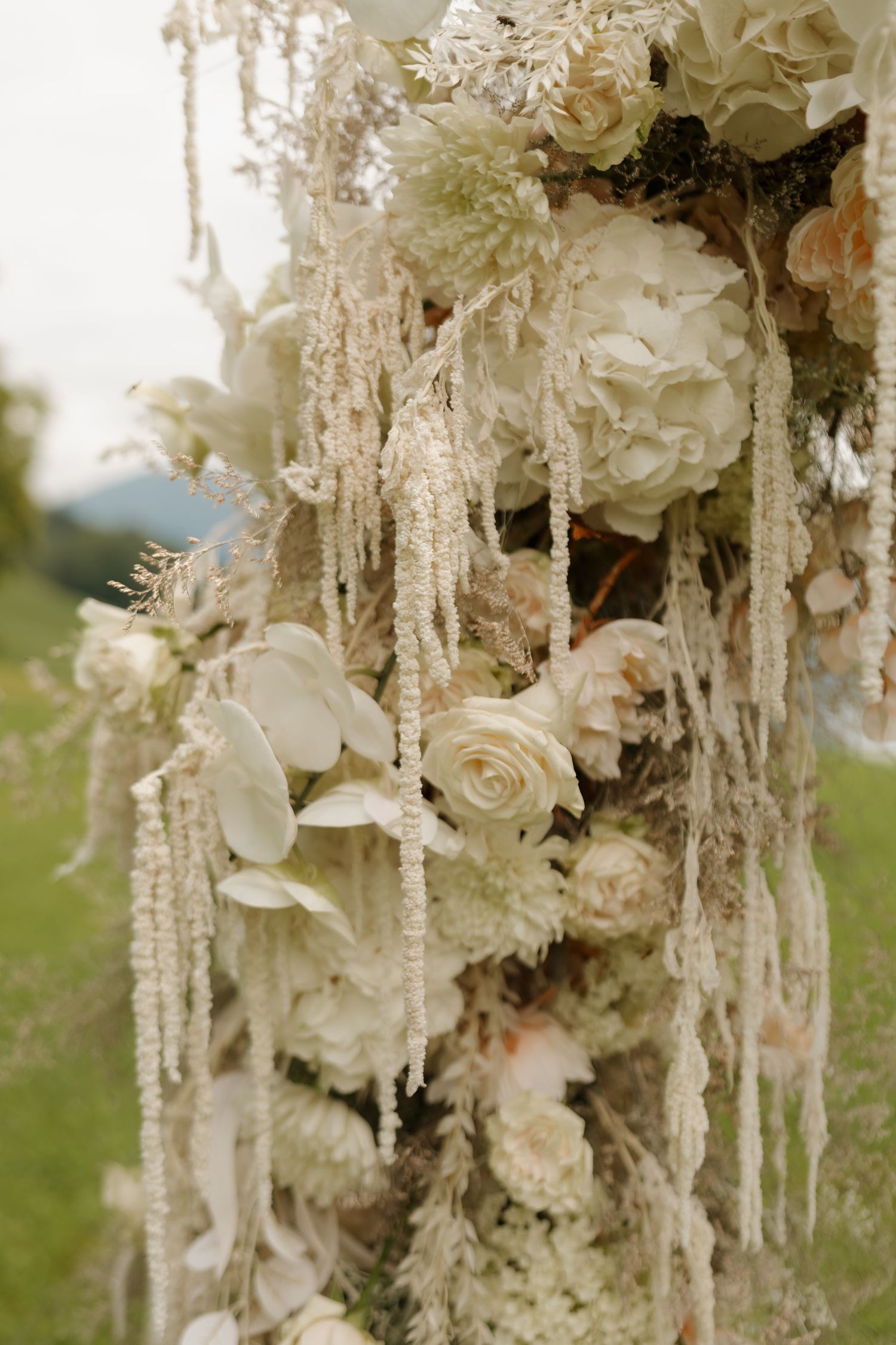 Close-up of a luxurious wedding arch adorned with white roses, orchids, and cascading cream floral details.
