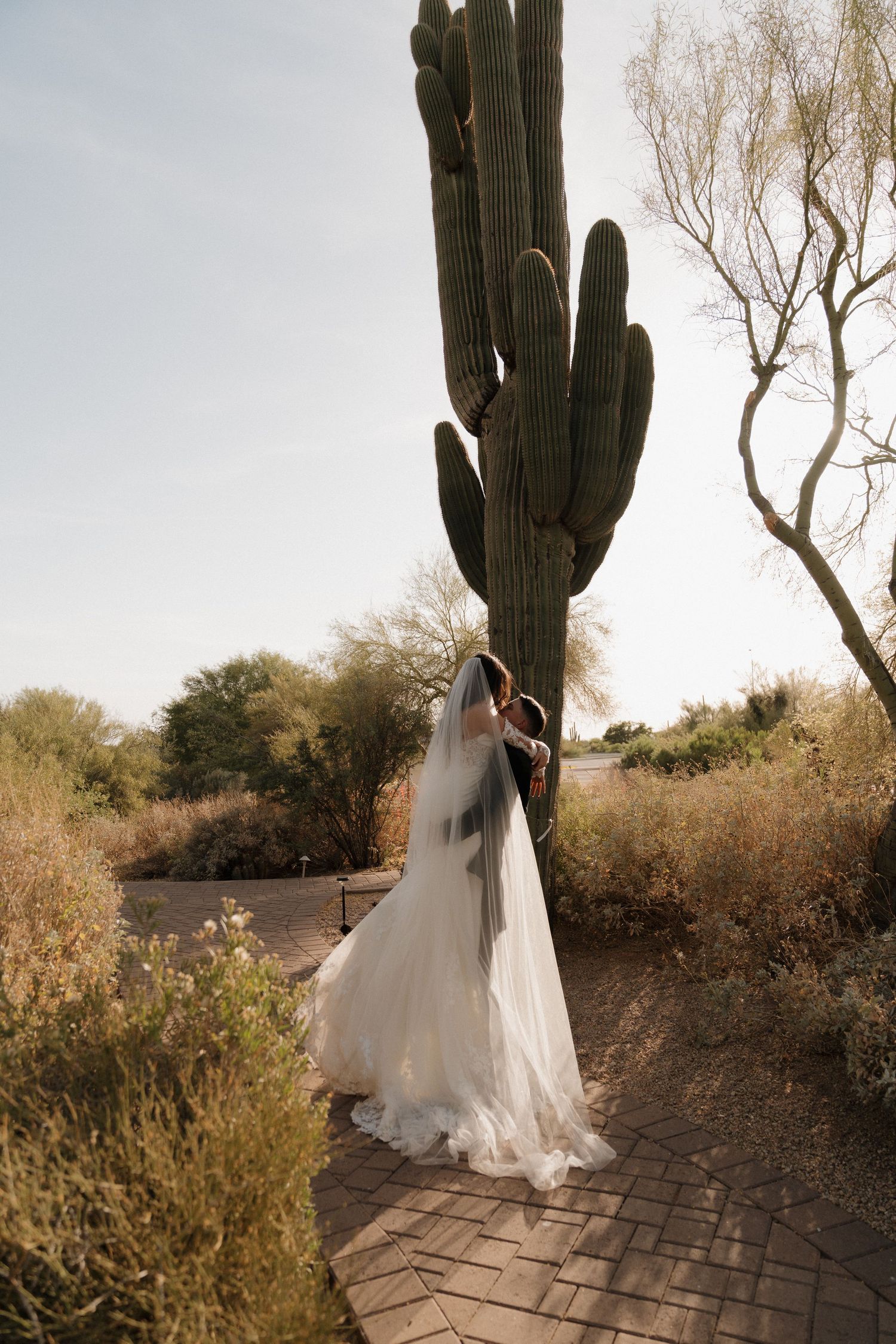 Bride in flowing veil and gown embracing groom beside tall saguaro cactus in desert garden.