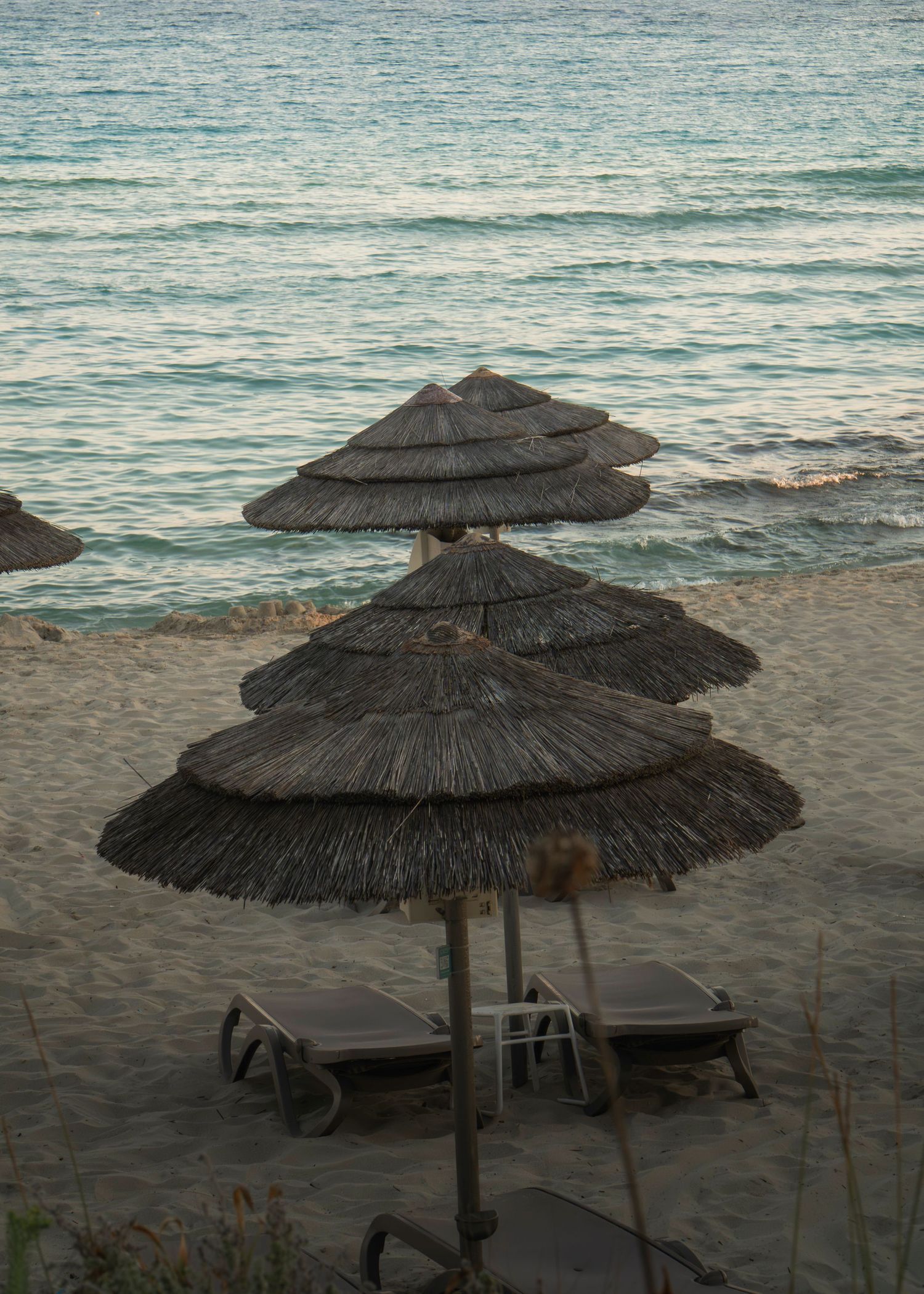 Thatched beach umbrellas with lounge chairs on sandy shore near calm turquoise ocean at dusk.