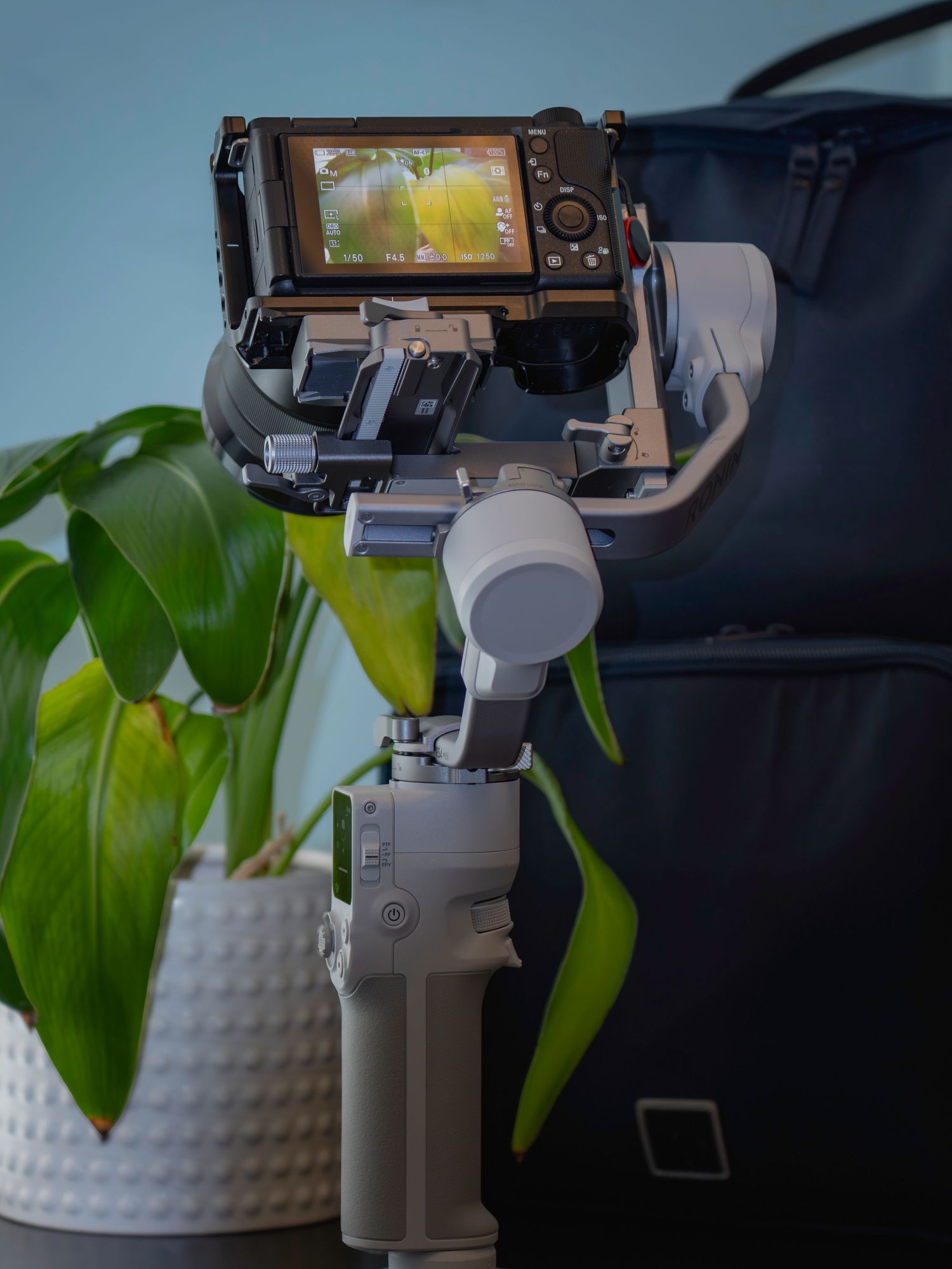 Camera mounted on a DJI gimbal stabilizer displaying a live view screen, positioned near a green plant.