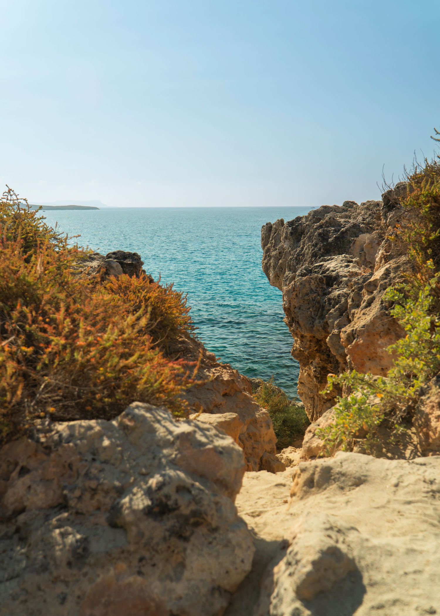 Rocky coastal cliffs with orange shrubs framing a turquoise sea under a clear blue sky.