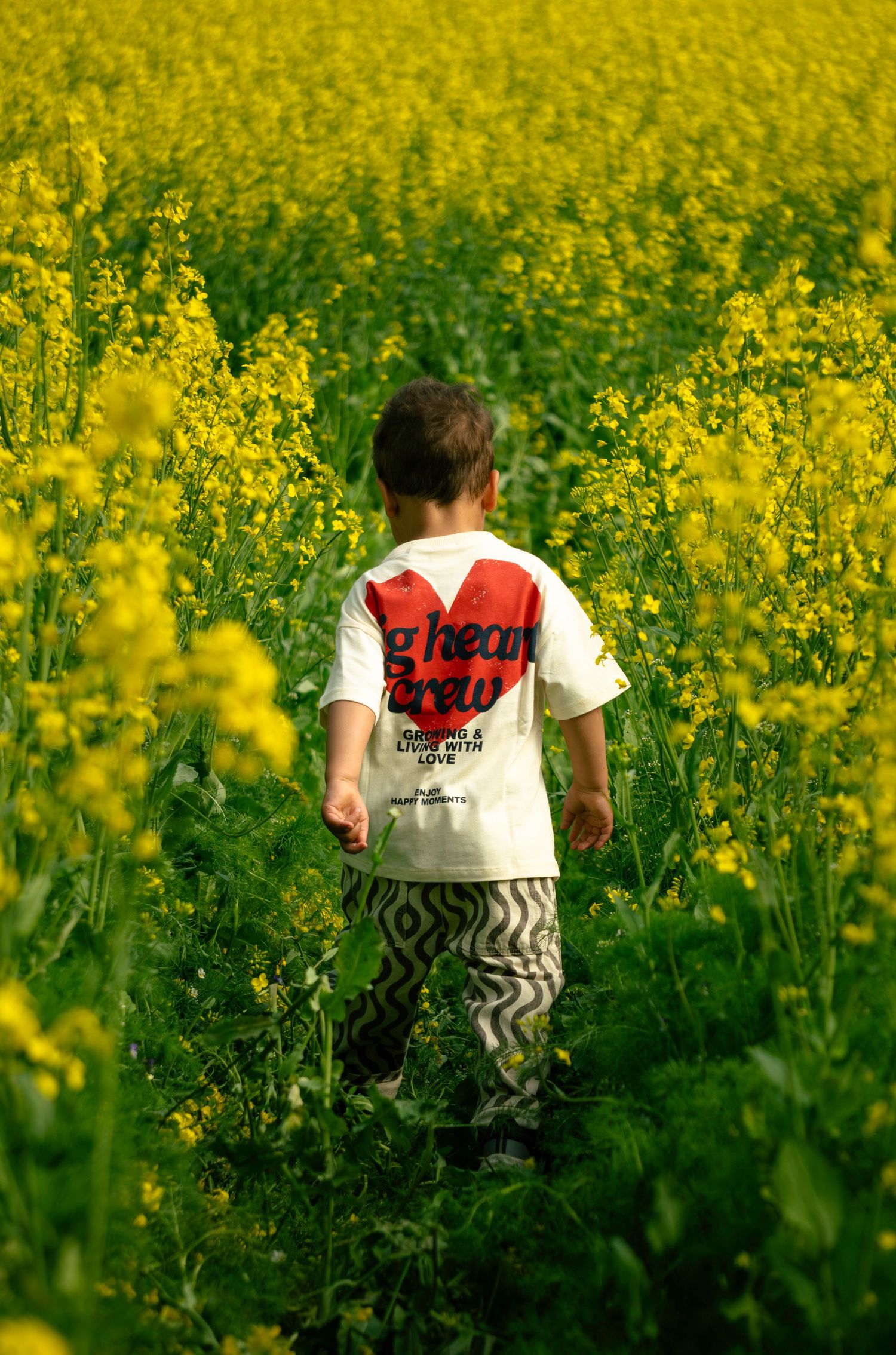 A young child walks through a vibrant yellow rapeseed flower field wearing a white heart graphic t-shirt and patterned pants.