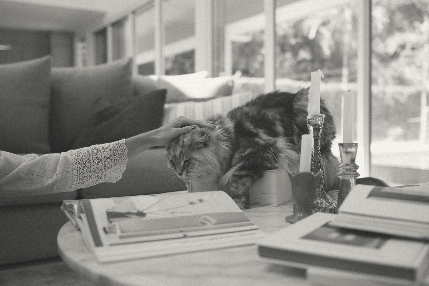 Black and white photo of a woman petting a fluffy cat on a coffee table indoors.