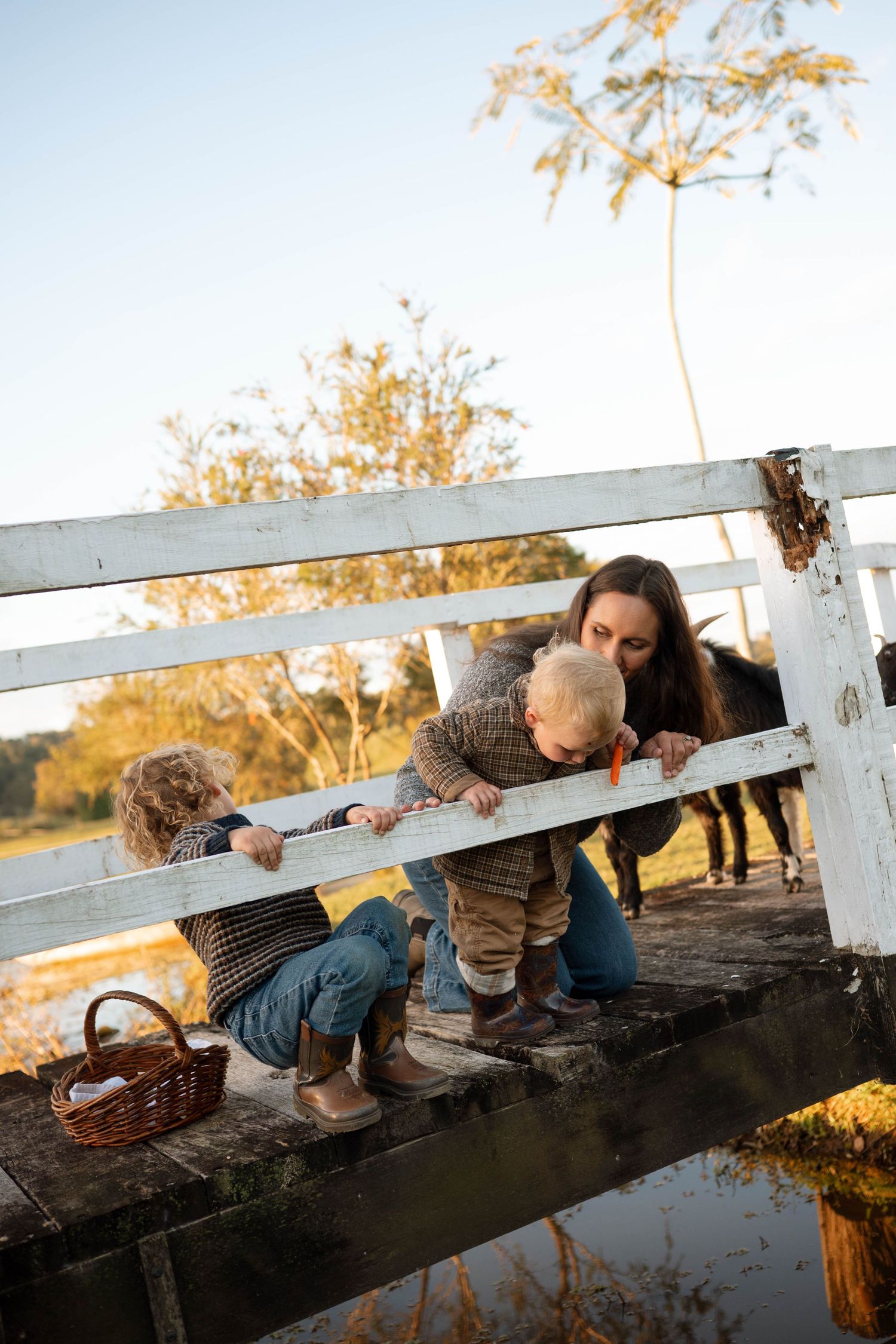 Mother and two young children feeding horses at a white wooden fence on a sunny farm day.
