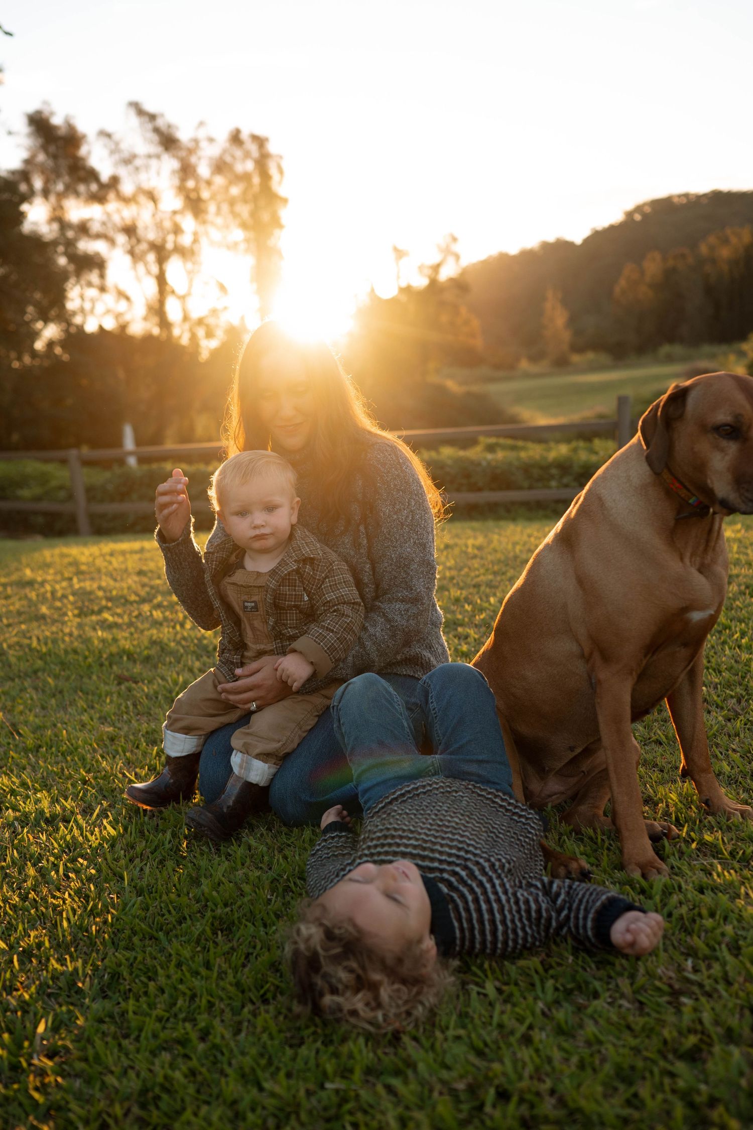 Mother sits with baby and toddler on green lawn beside large brown dog during golden sunset.