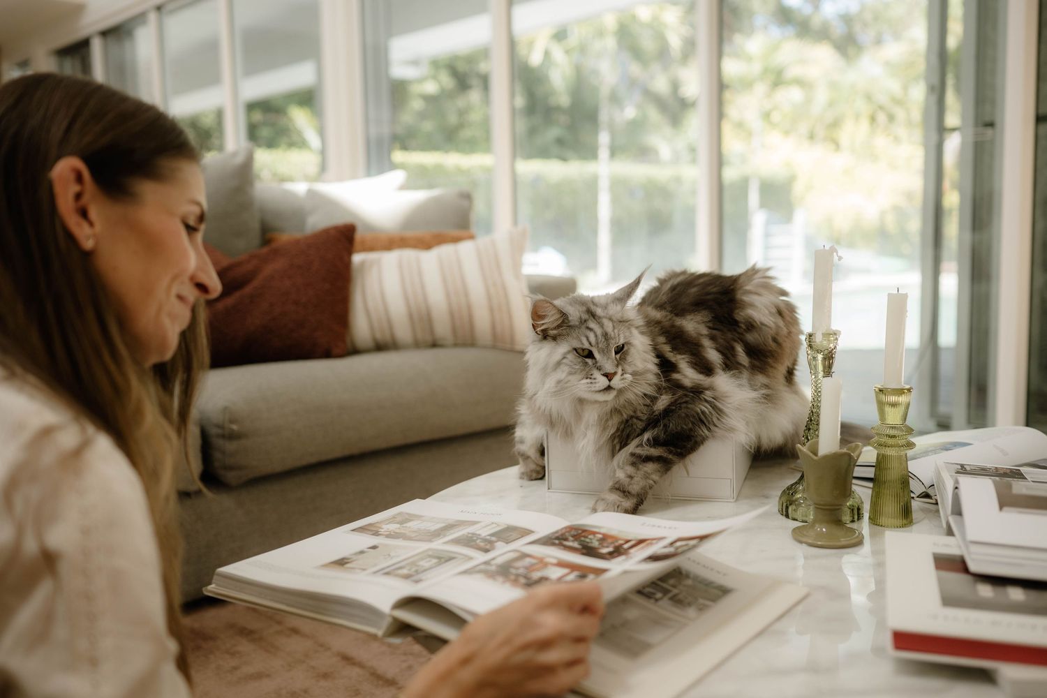 Woman reading a magazine beside a fluffy grey cat on a white coffee table indoors.