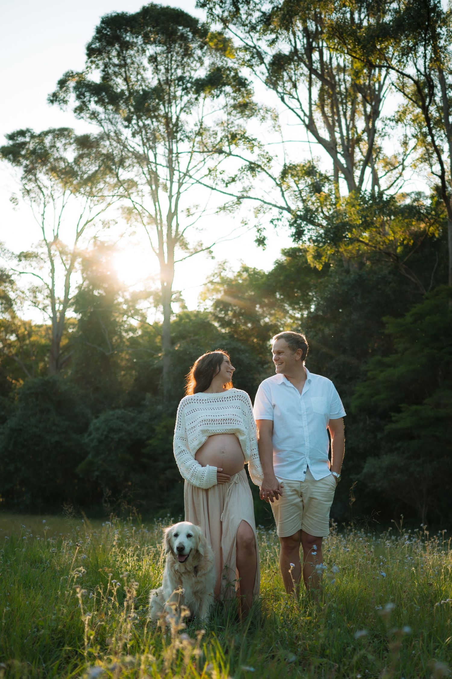 Pregnant couple and golden retriever dog standing in a sunlit grassy field surrounded by tall eucalyptus trees.