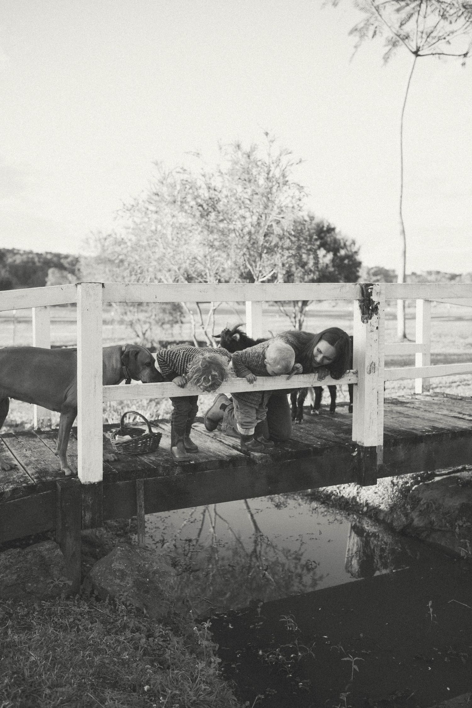 Black and white photo of children leaning over a wooden bridge railing above a pond, with horses grazing in a rural field.