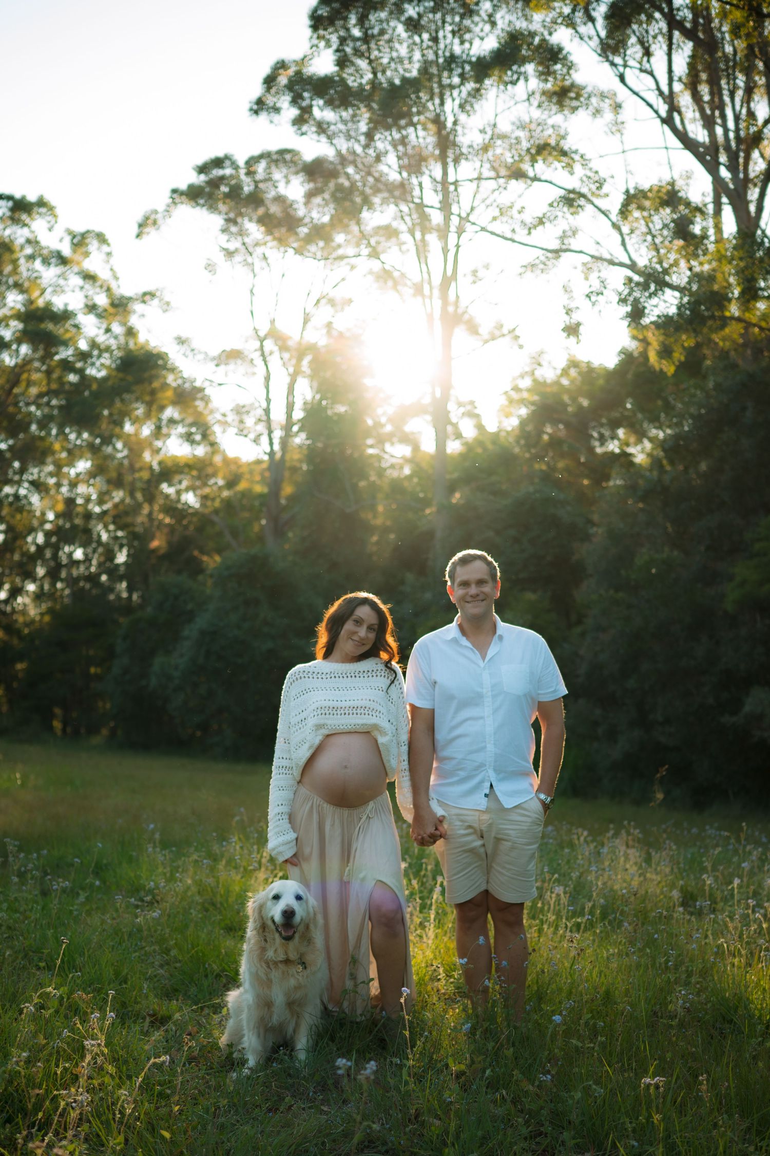 Happy expecting couple holding hands in a green meadow at sunset with their golden retriever dog.