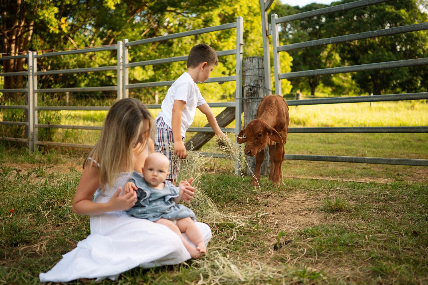 Mother in white dress holding baby while young boy feeds a brown horse hay through a farm fence.