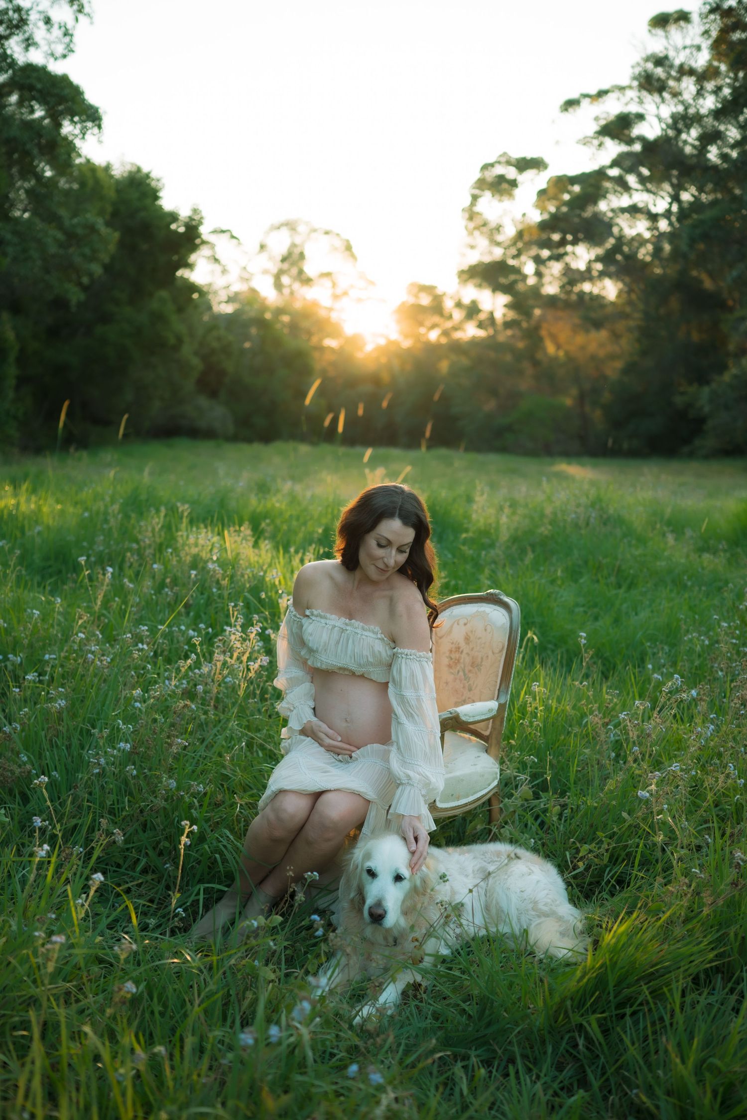 Pregnant woman in white dress sitting on vintage chair in sunlit meadow with white dog at golden hour.