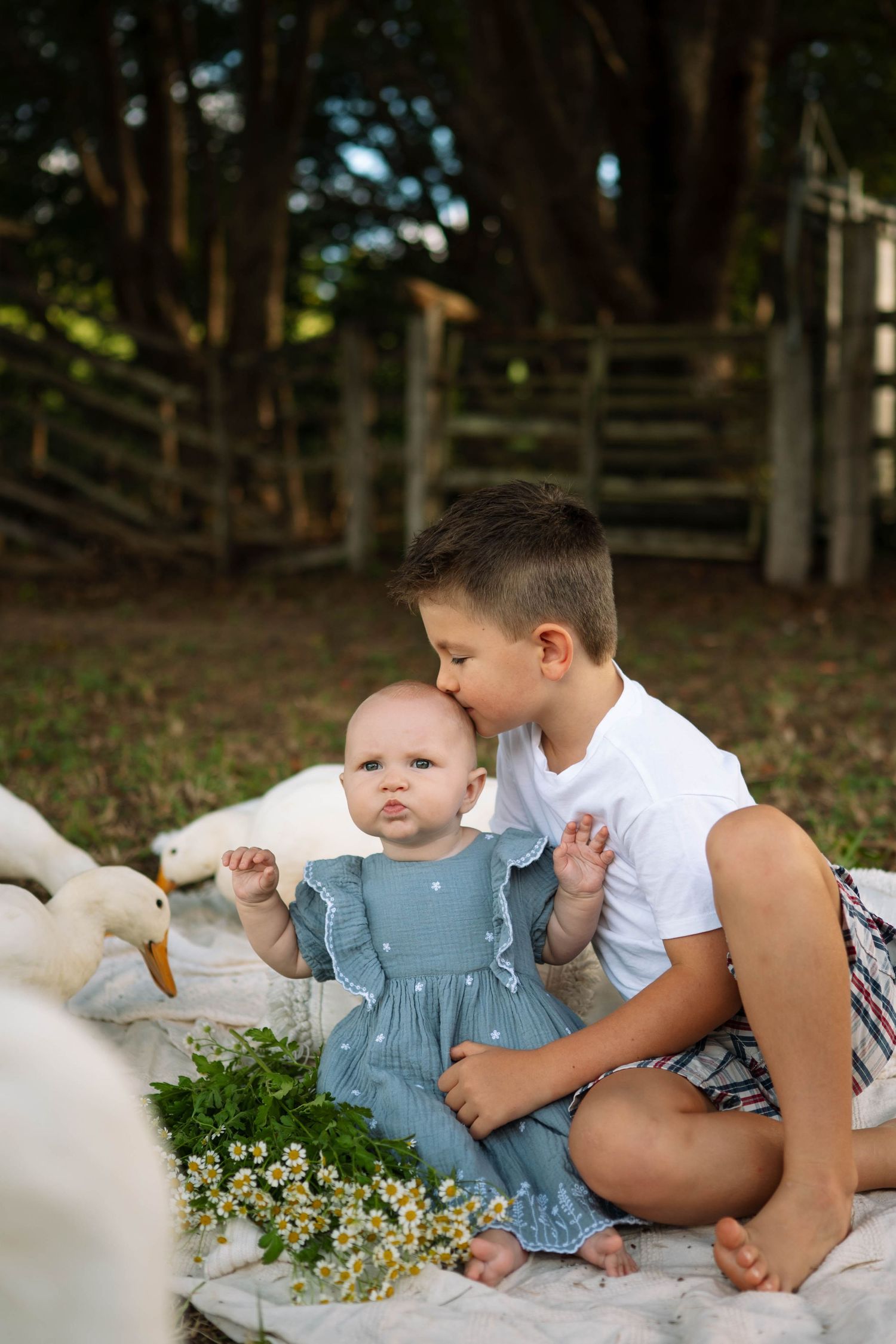 Older brother kissing baby sister in blue dress on white blanket with white ducks and wildflowers on a farm.