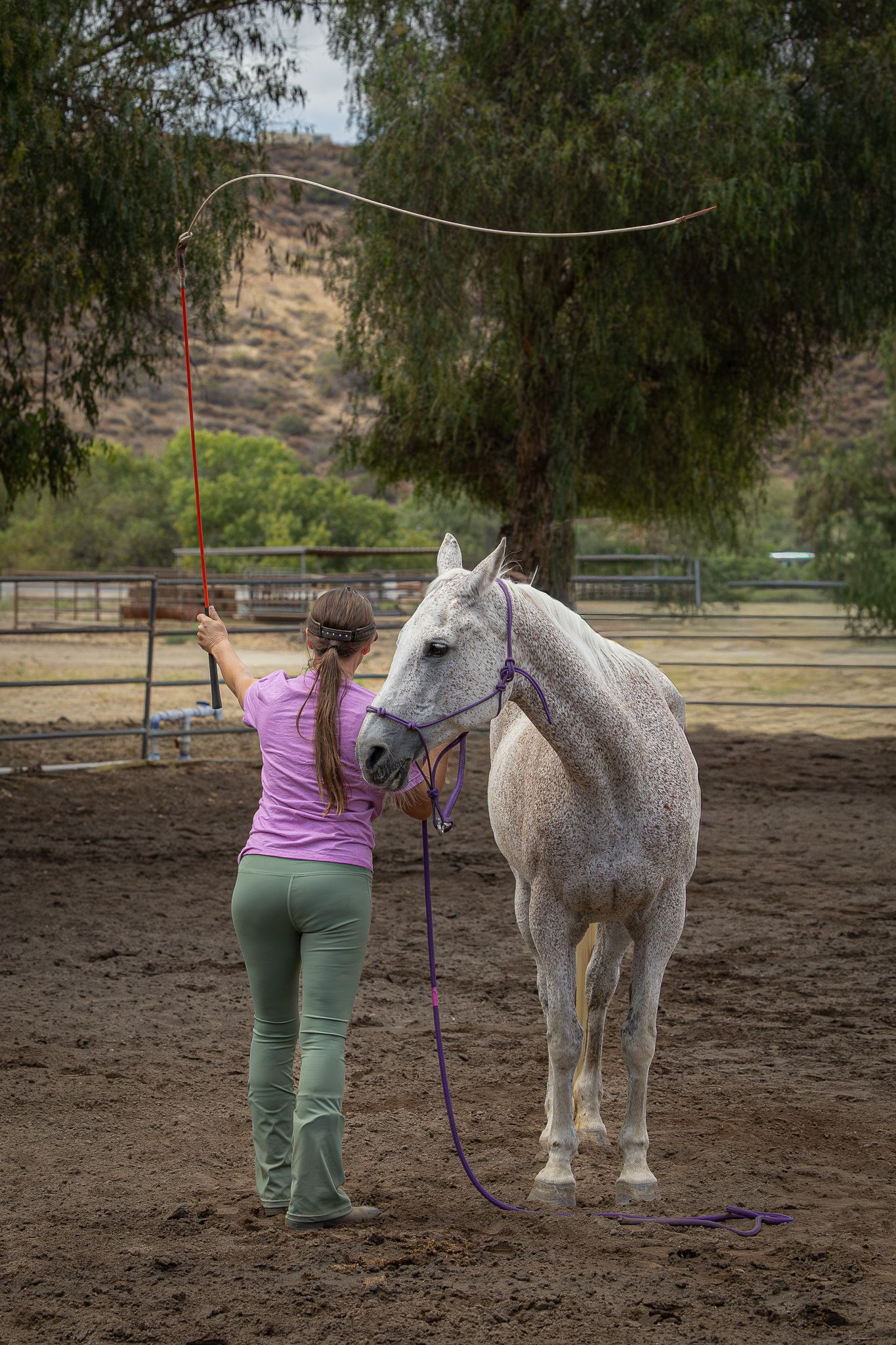 Woman in pink shirt trains a white horse with a lunge whip in an outdoor dirt arena with trees and hills.