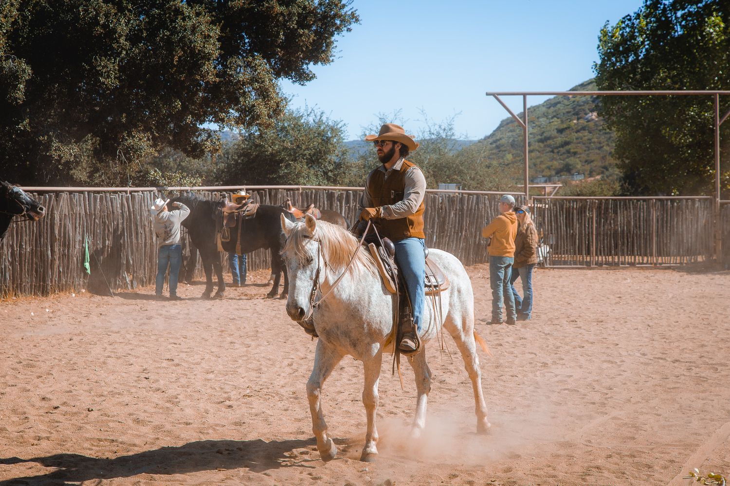 Cowboy riding a white horse in a sandy corral with cattle and handlers in the background on a sunny day.