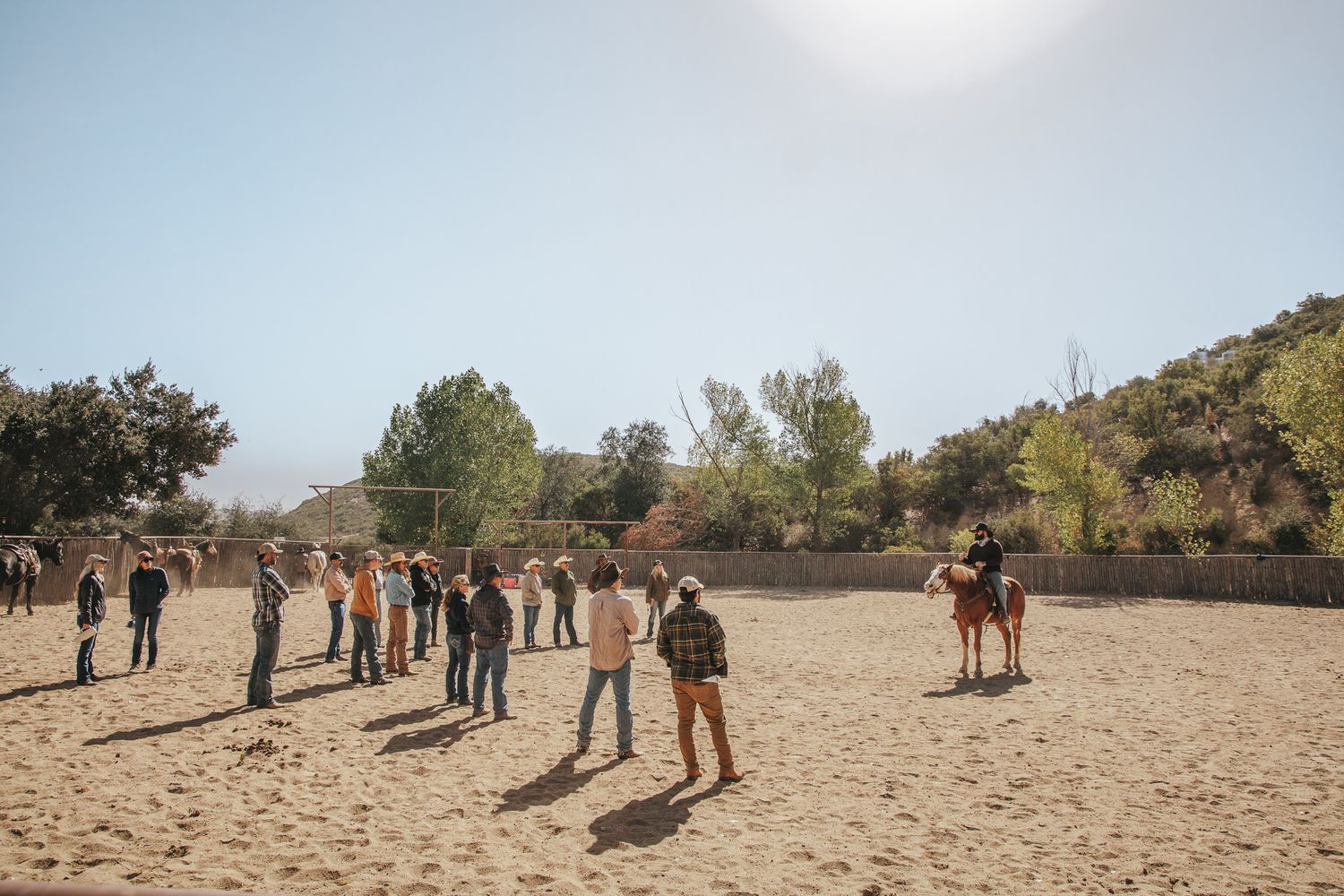 A large group of people stand in a sandy arena during an outdoor horsemanship clinic with horses nearby.