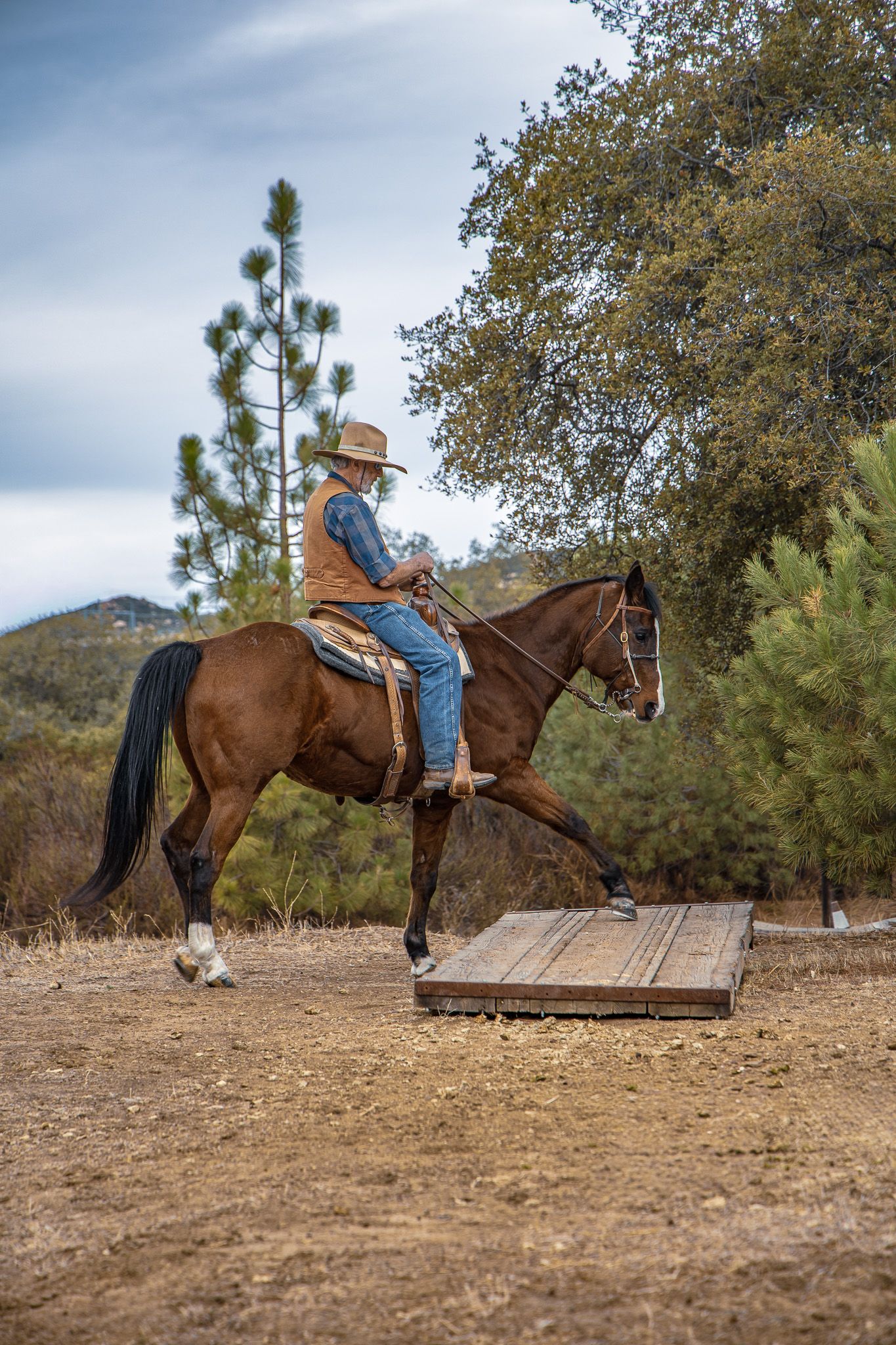 A cowboy in a hat rides a chestnut horse near a wooden platform obstacle in a dry outdoor trail course.