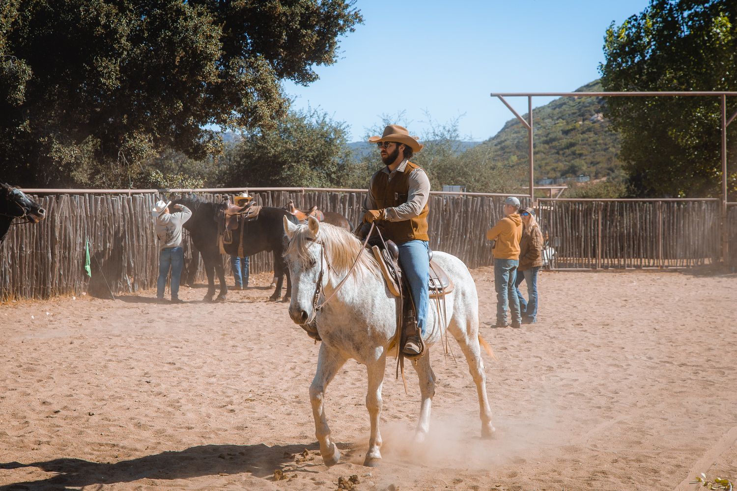 Cowboy riding a white horse in a sandy corral with cattle in the background.