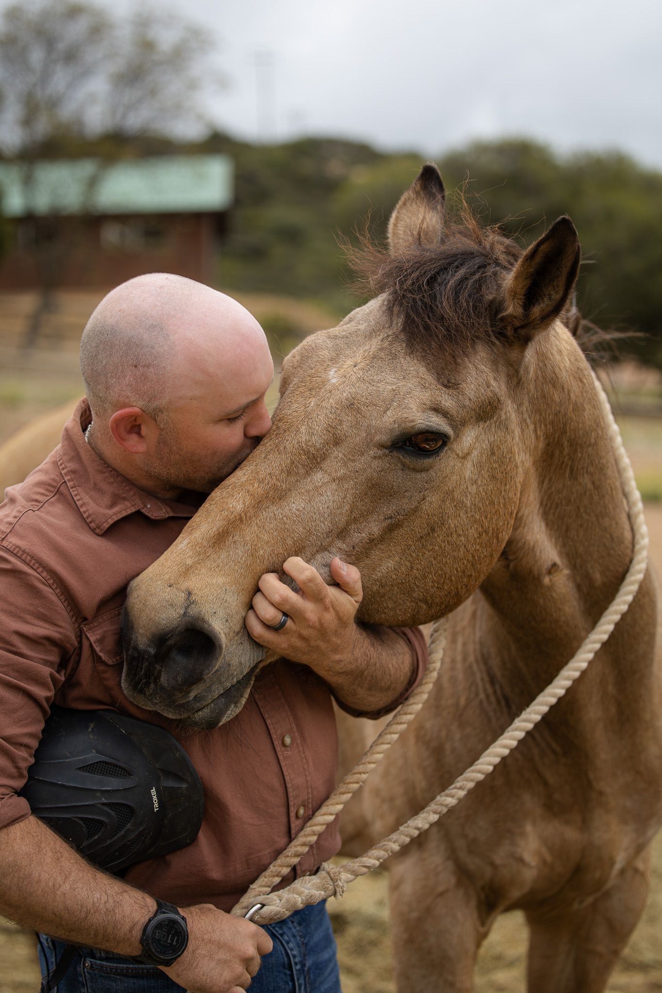 Bald man in pink shirt kissing and hugging a brown horse while holding a rope lead on a ranch.