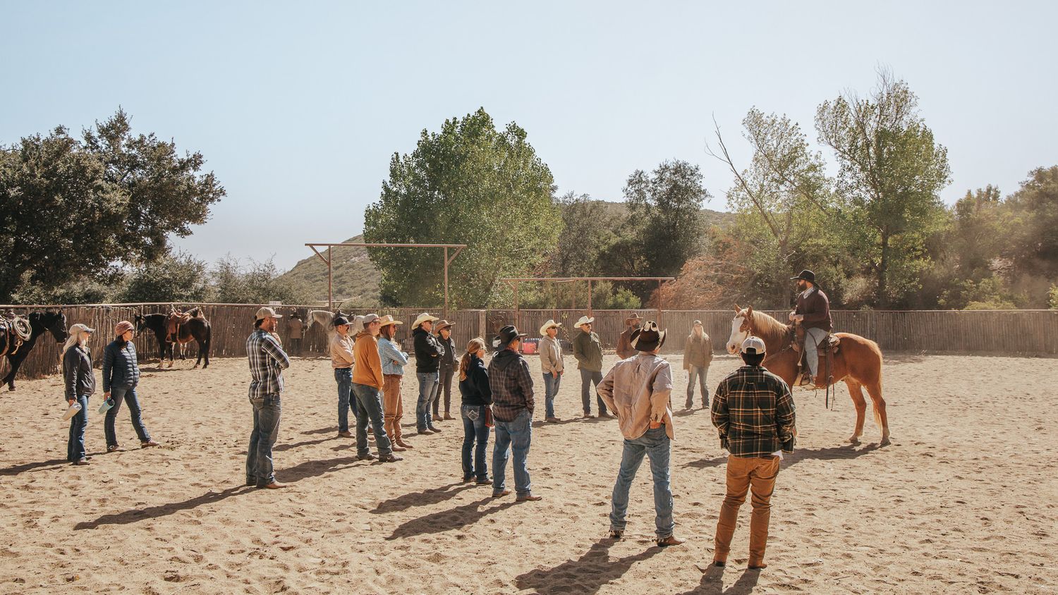 Group of people learning horseback riding in a sandy outdoor arena with horses and trees in the background.