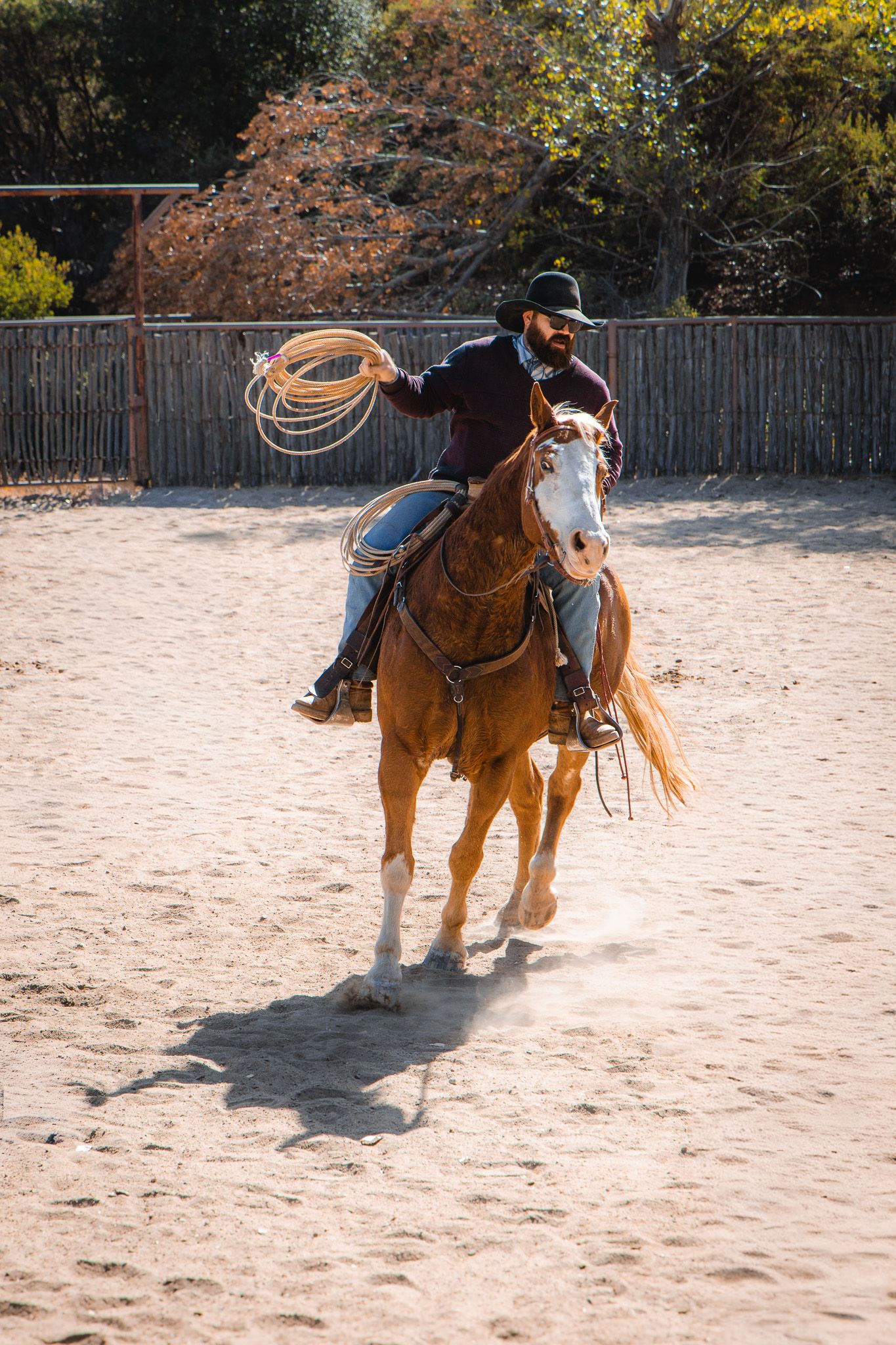 Bearded cowboy riding a chestnut horse while twirling a lasso in a dusty ranch arena.