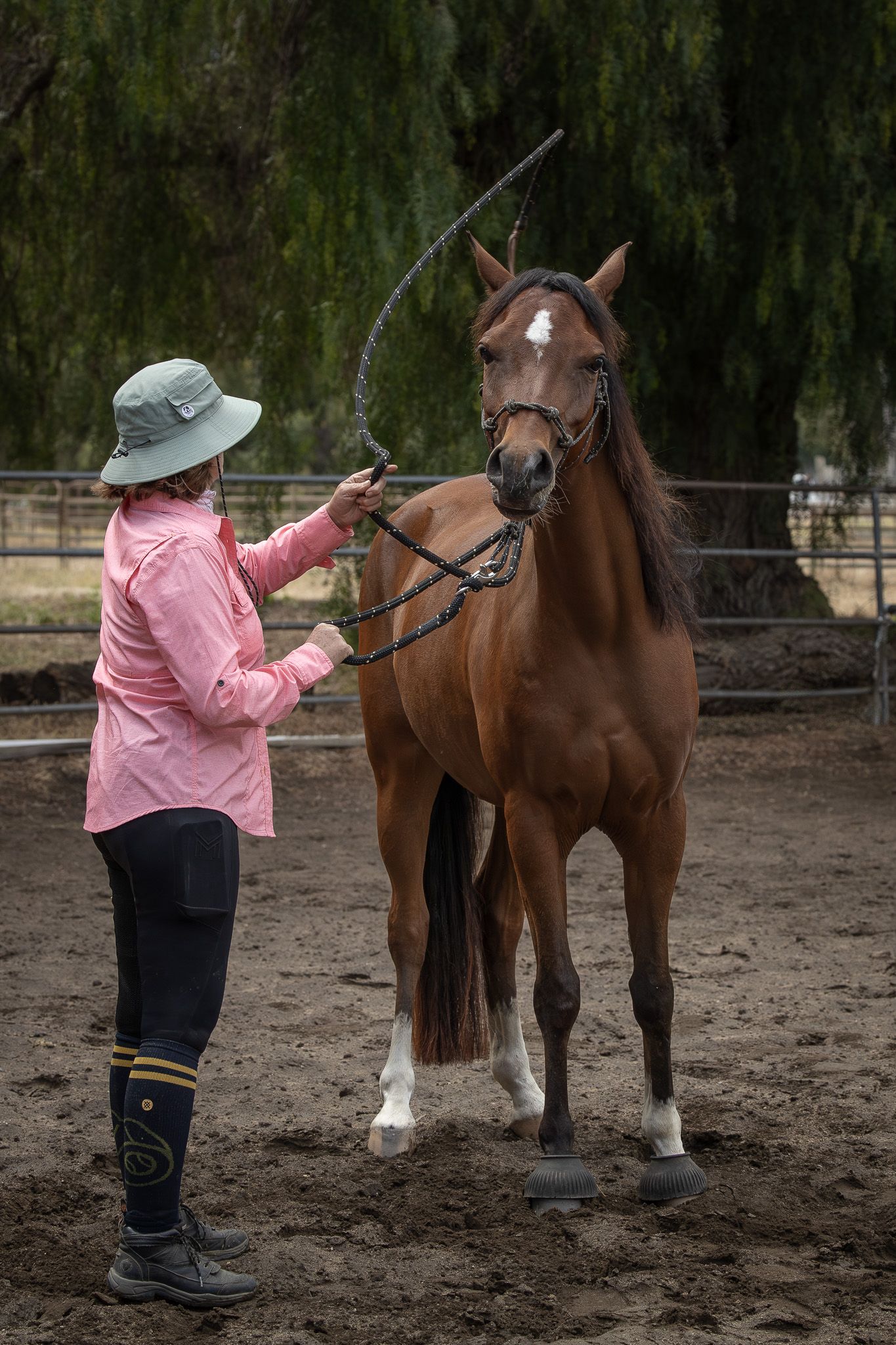 Woman in pink shirt and hat training a chestnut horse with a lead rope in a dirt arena.