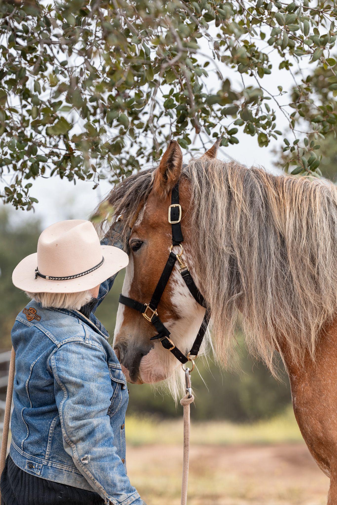 A blonde woman in a denim jacket and cowboy hat tenderly interacts with a chestnut horse under a leafy tree.