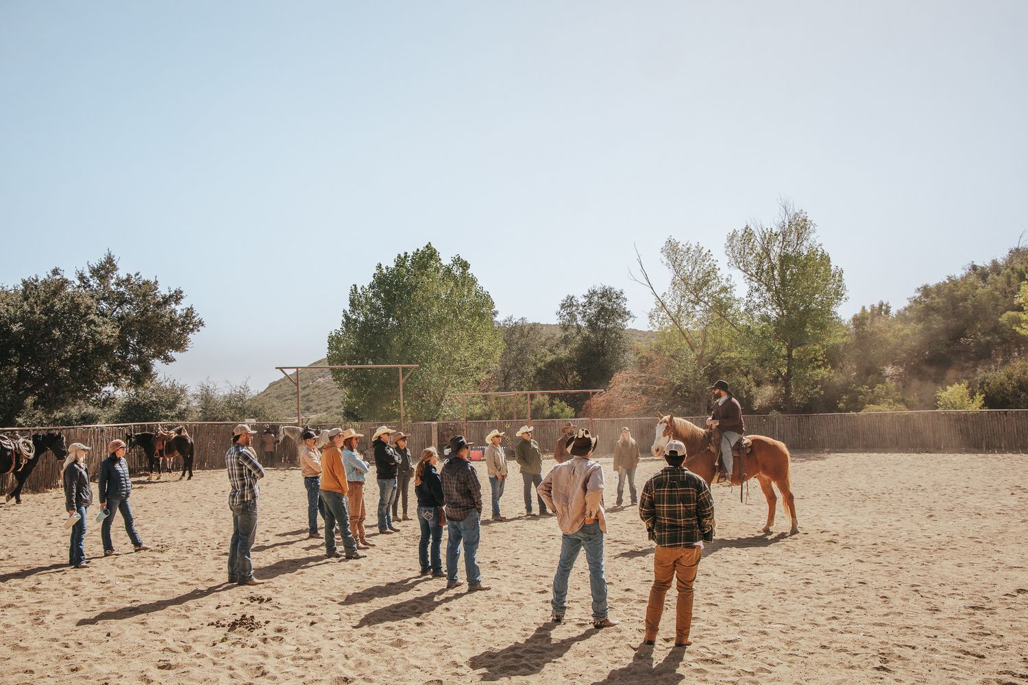 A group of participants gather in a sunny sandy arena during an outdoor horse training clinic session.